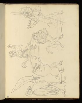 Emily M. Madden's cat Mouton. Drawings by Emily M. Madden, 1856-1859.