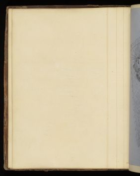 Emily M. Madden's cat Mouton. Drawings by Emily M. Madden, 1856-1859.