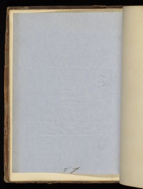 Emily M. Madden's cat Mouton. Drawings by Emily M. Madden, 1856-1859.