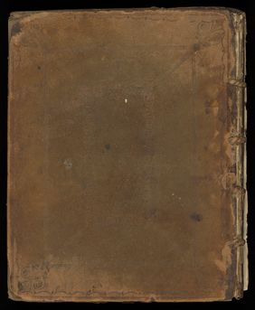 Emily M. Madden's cat Mouton. Drawings by Emily M. Madden, 1856-1859.