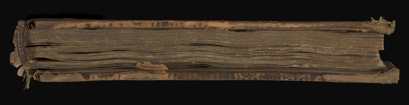 Emily M. Madden's cat Mouton. Drawings by Emily M. Madden, 1856-1859.