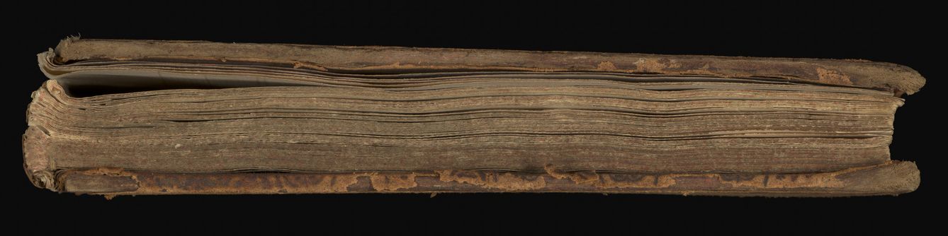 Emily M. Madden's cat Mouton. Drawings by Emily M. Madden, 1856-1859.