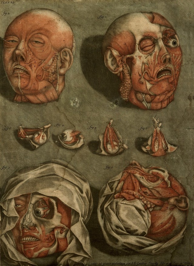 digitised image 1
