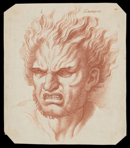 A face with hair on end expressing despair. Crayon Manner print by W. Hebert, c. 1770, after C. Le Brun.