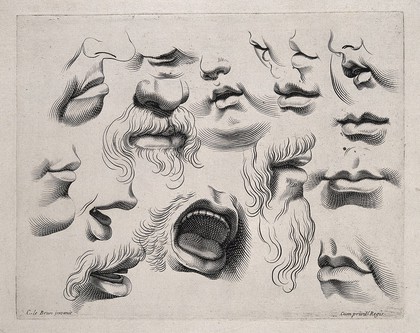 Designs showing the lower half of the face in various physiognomies and actions. Engraving after C. Le Brun.