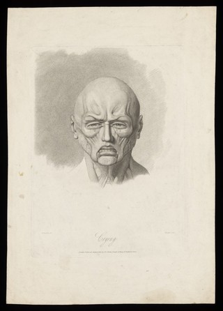 An écorché face weeping, showing the muscles involved. Stipple engraving by H. Singleton (?) after G.T. Stubbs after G. Stubbs, 1815.