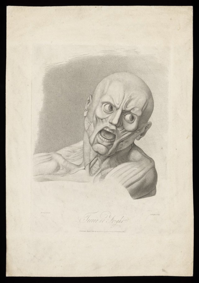 digitised image 1