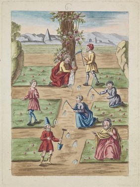 Men vainly seeking alchemical 'white' (mercurial) water in the ground and in trees. Coloured etching after etching, ca. 17th century.