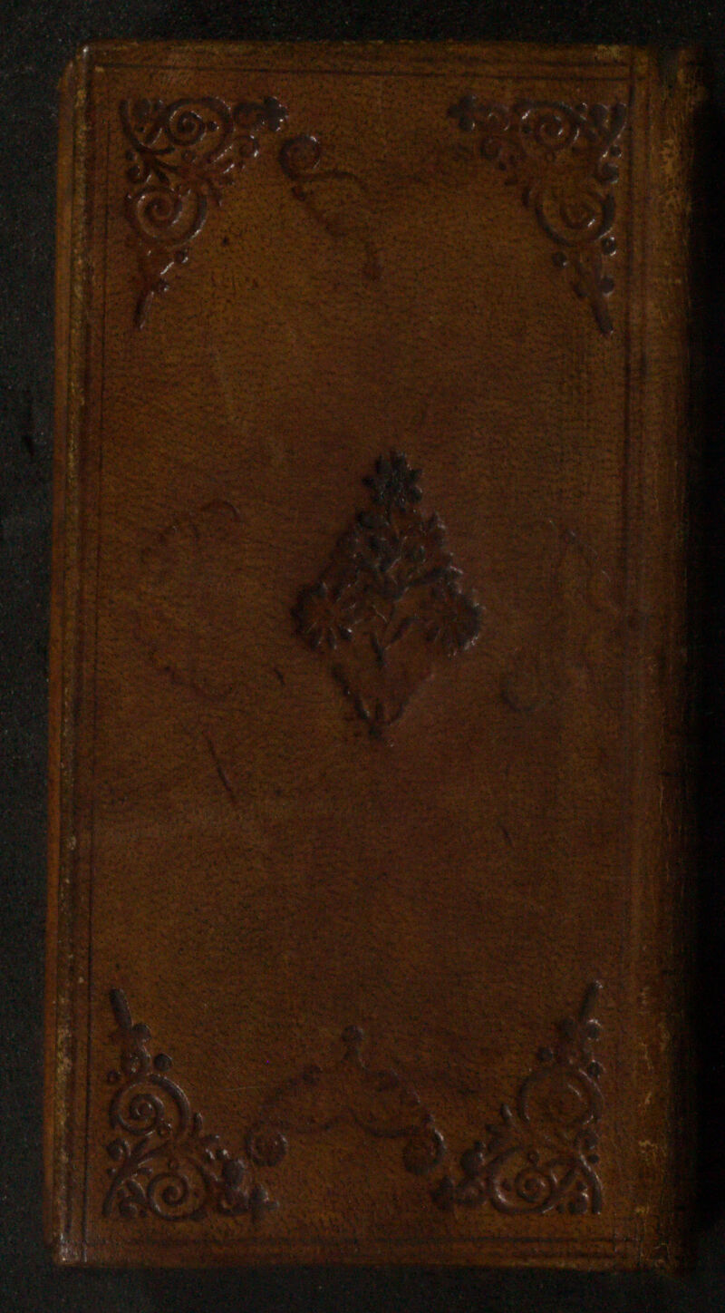 No text description is available for this image