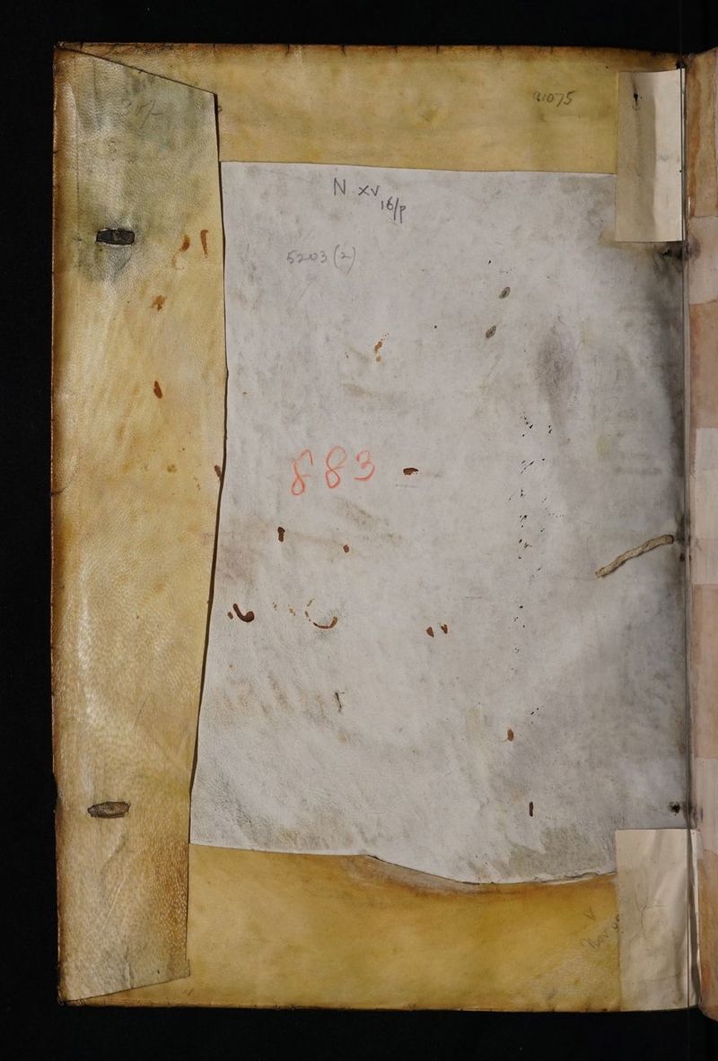 No text description is available for this image