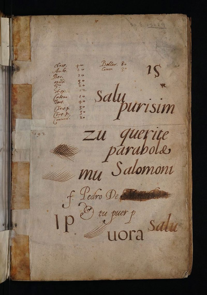 No text description is available for this image