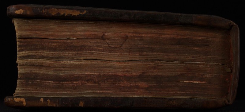 No text description is available for this image