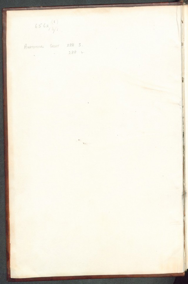 digitised image 2