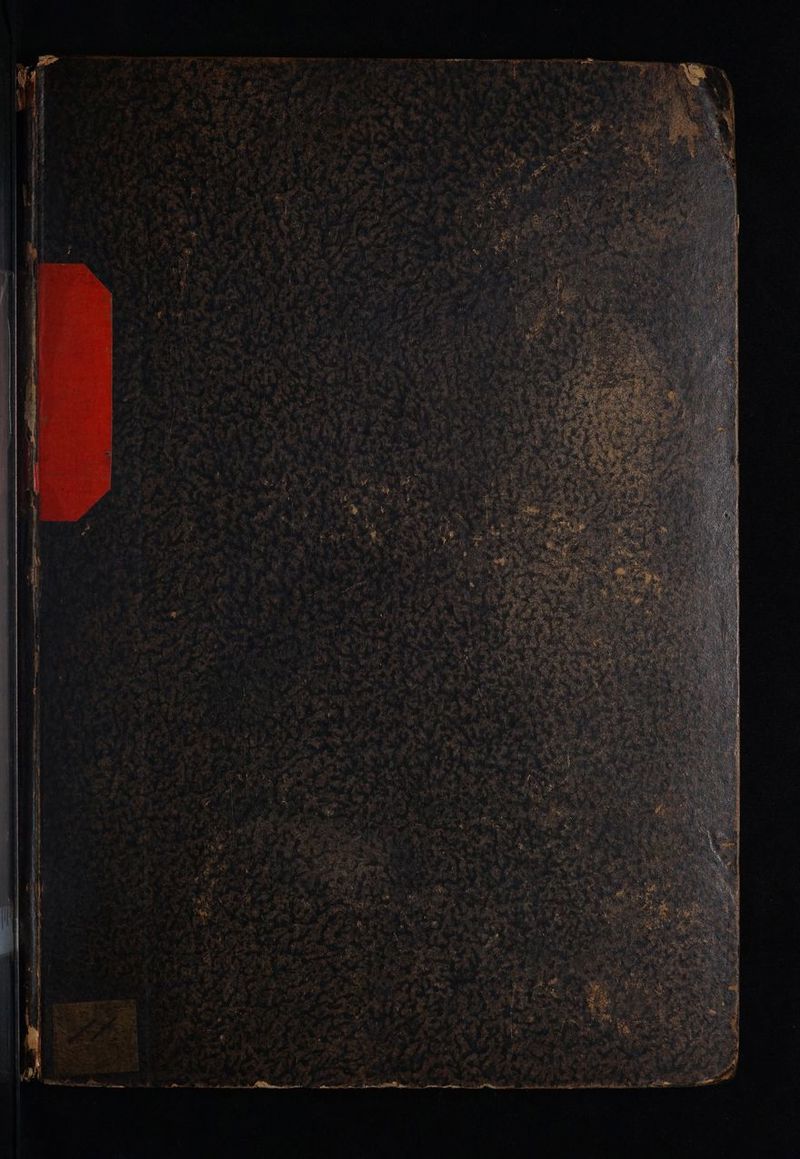 ivi N - RAT REN 1 - -disge ci e NLS z xum 1 E i Sup : di