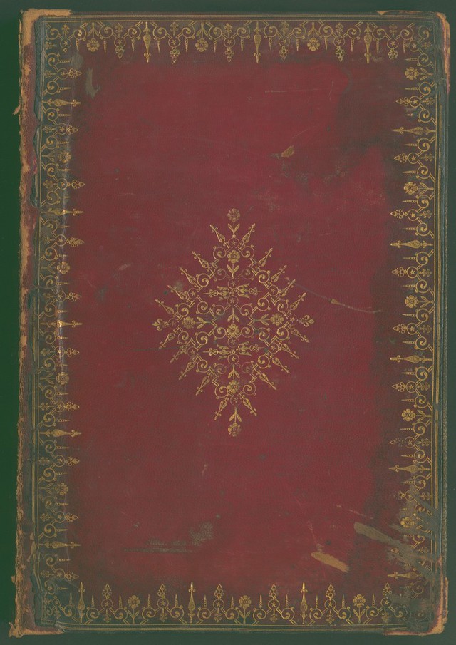 No text description is available for this image