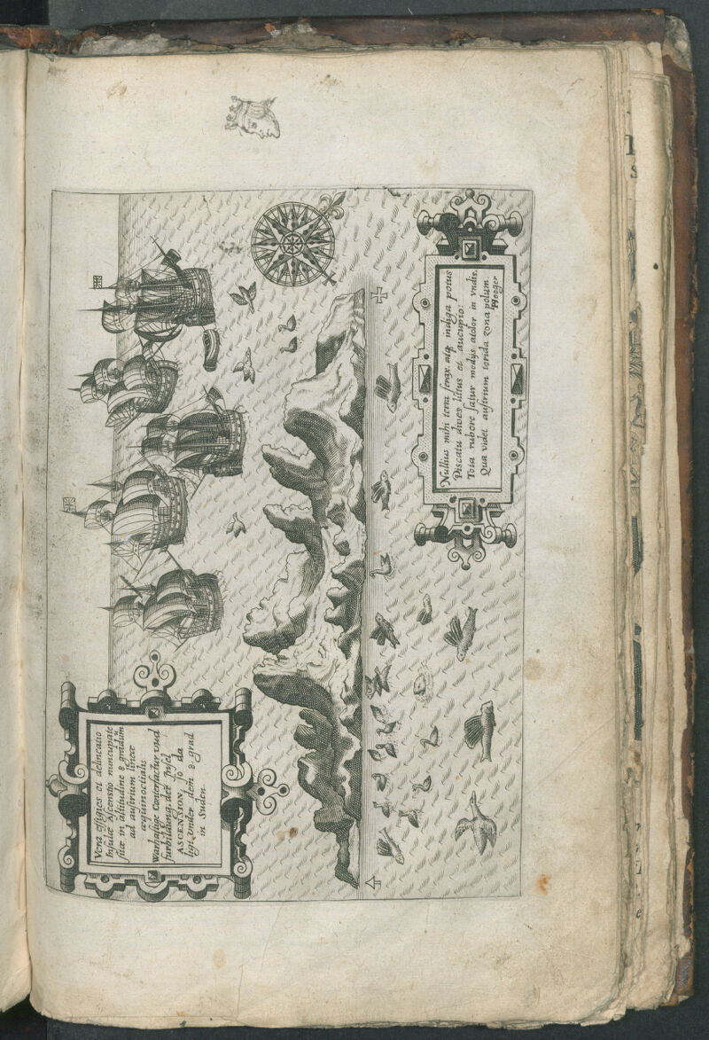 No text description is available for this image