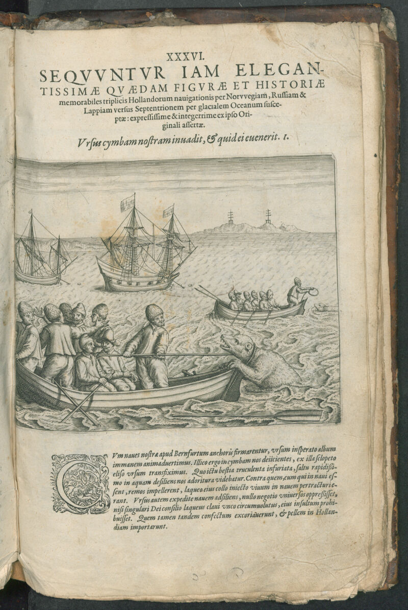 No text description is available for this image