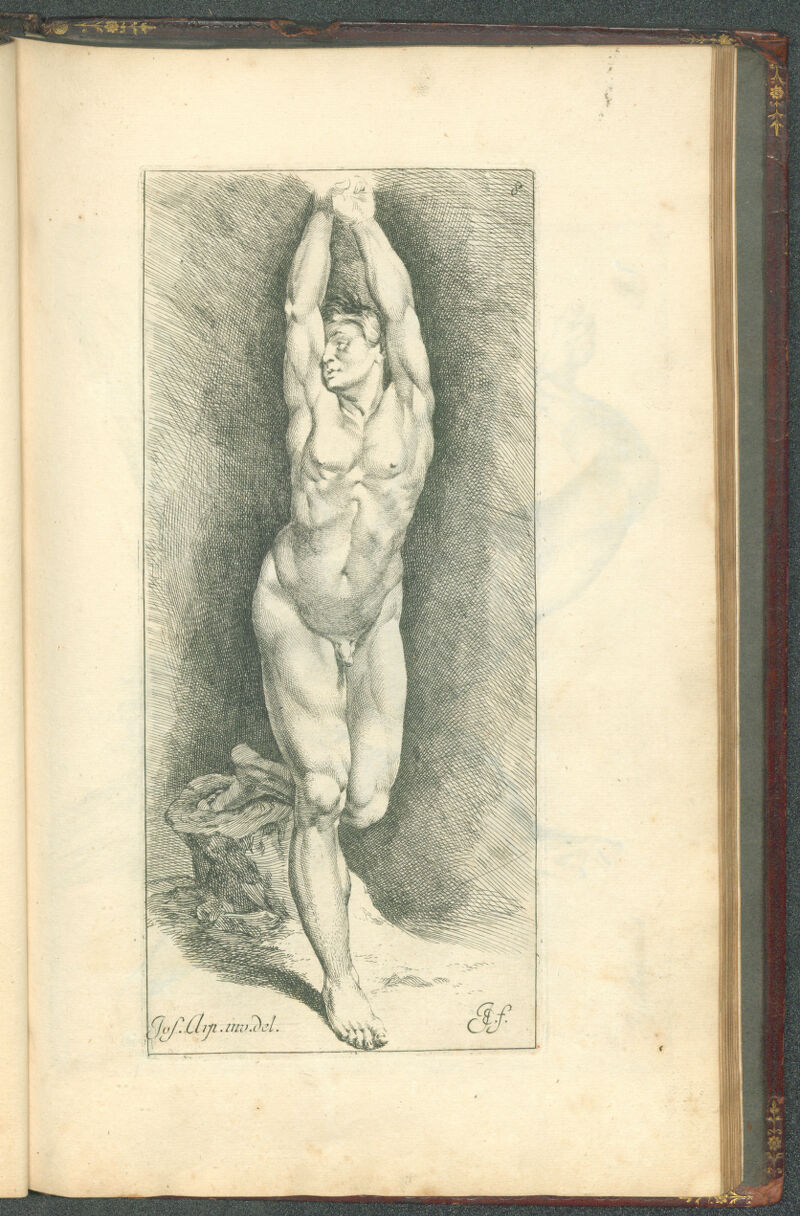 No text description is available for this image