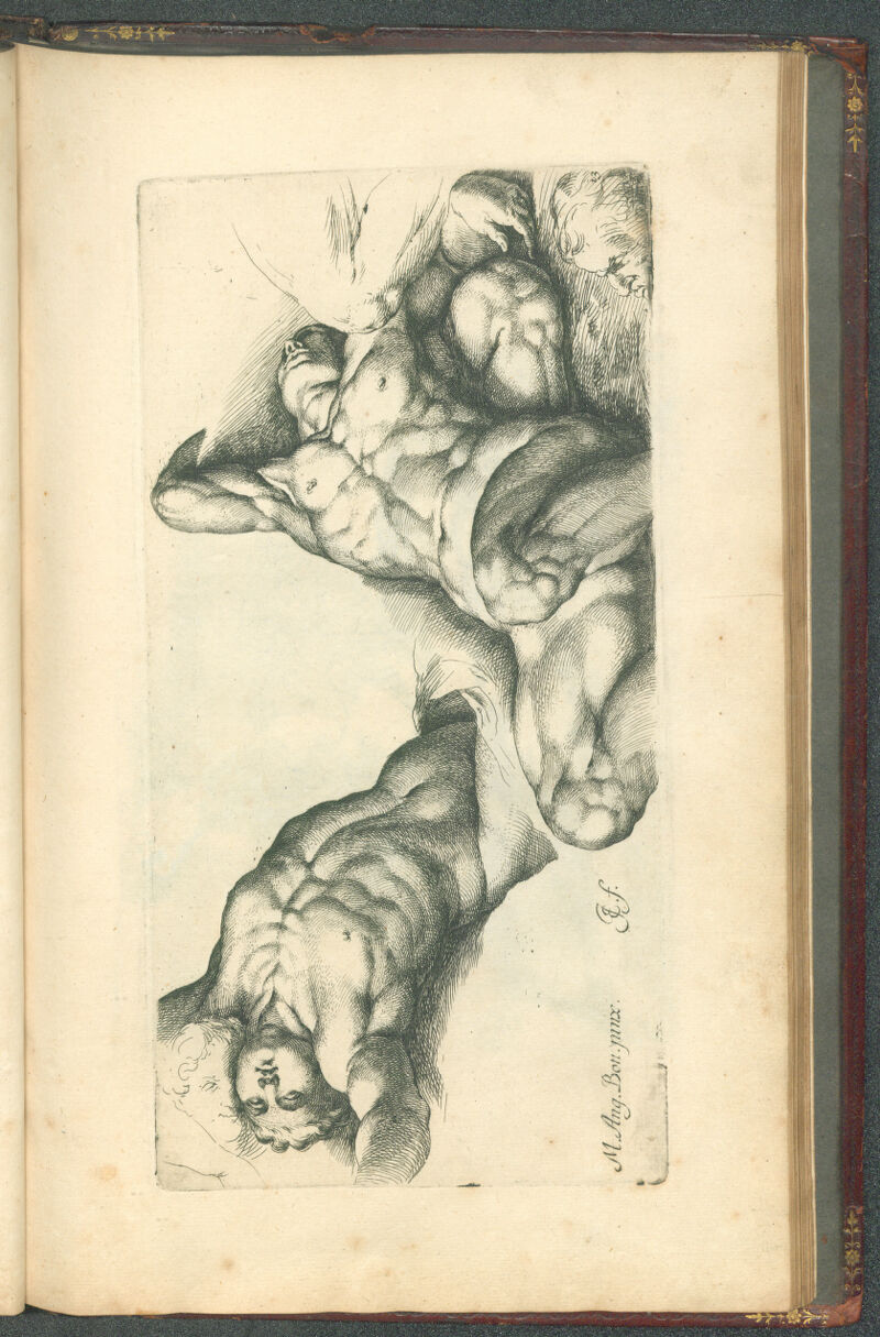 No text description is available for this image