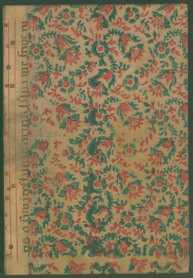 digitised image 1