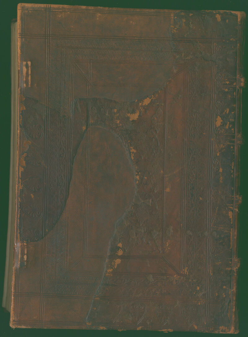 No text description is available for this image