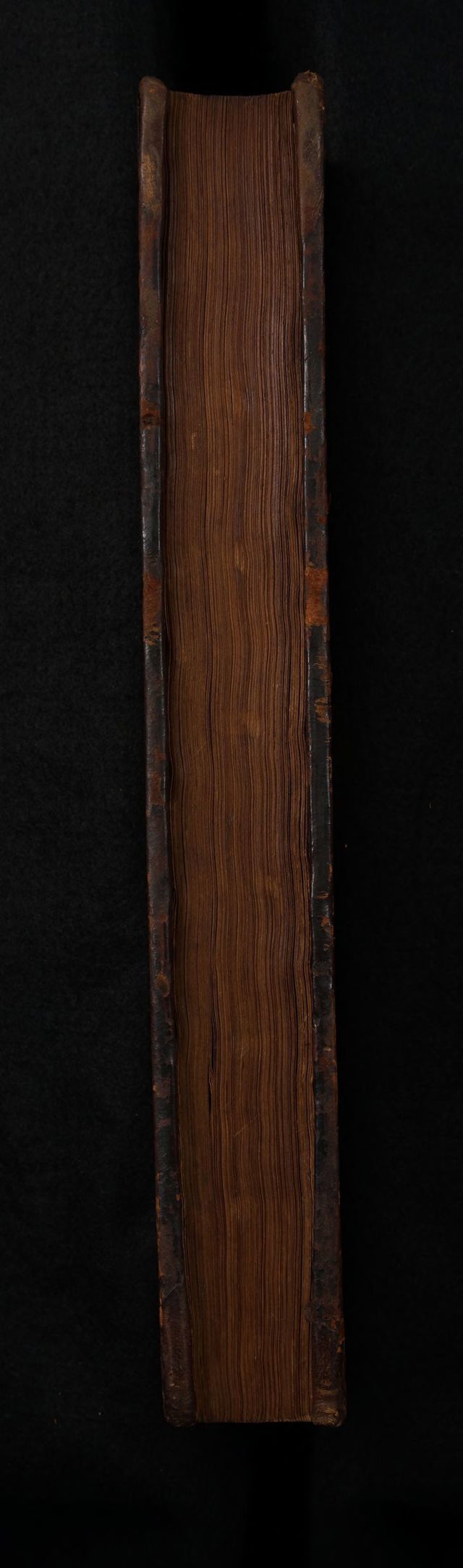 digitised image 3