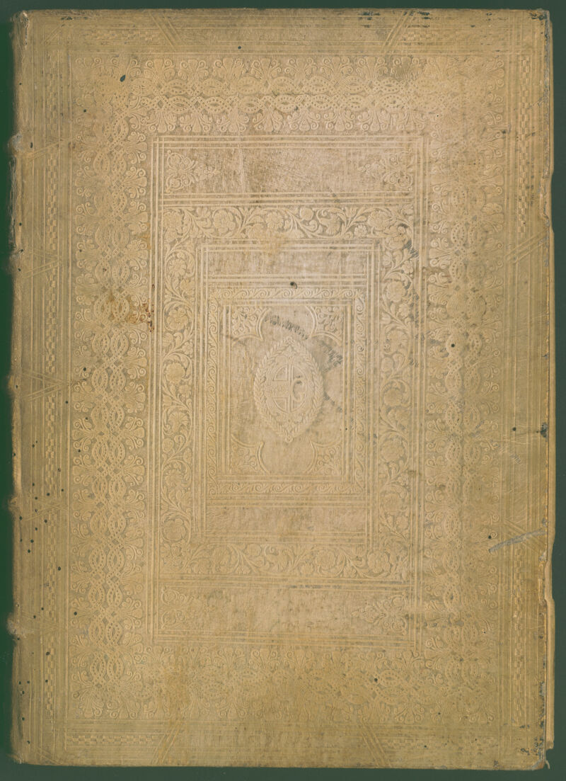 No text description is available for this image