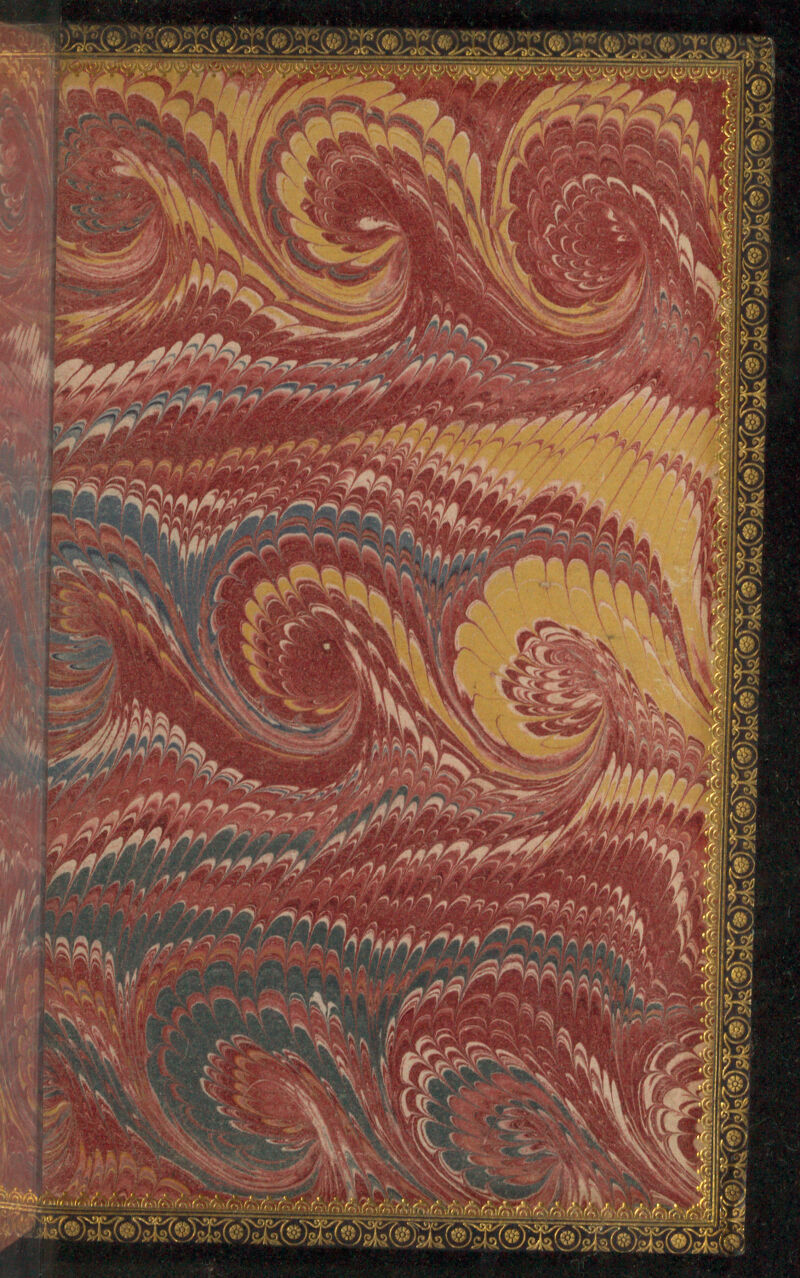 No text description is available for this image