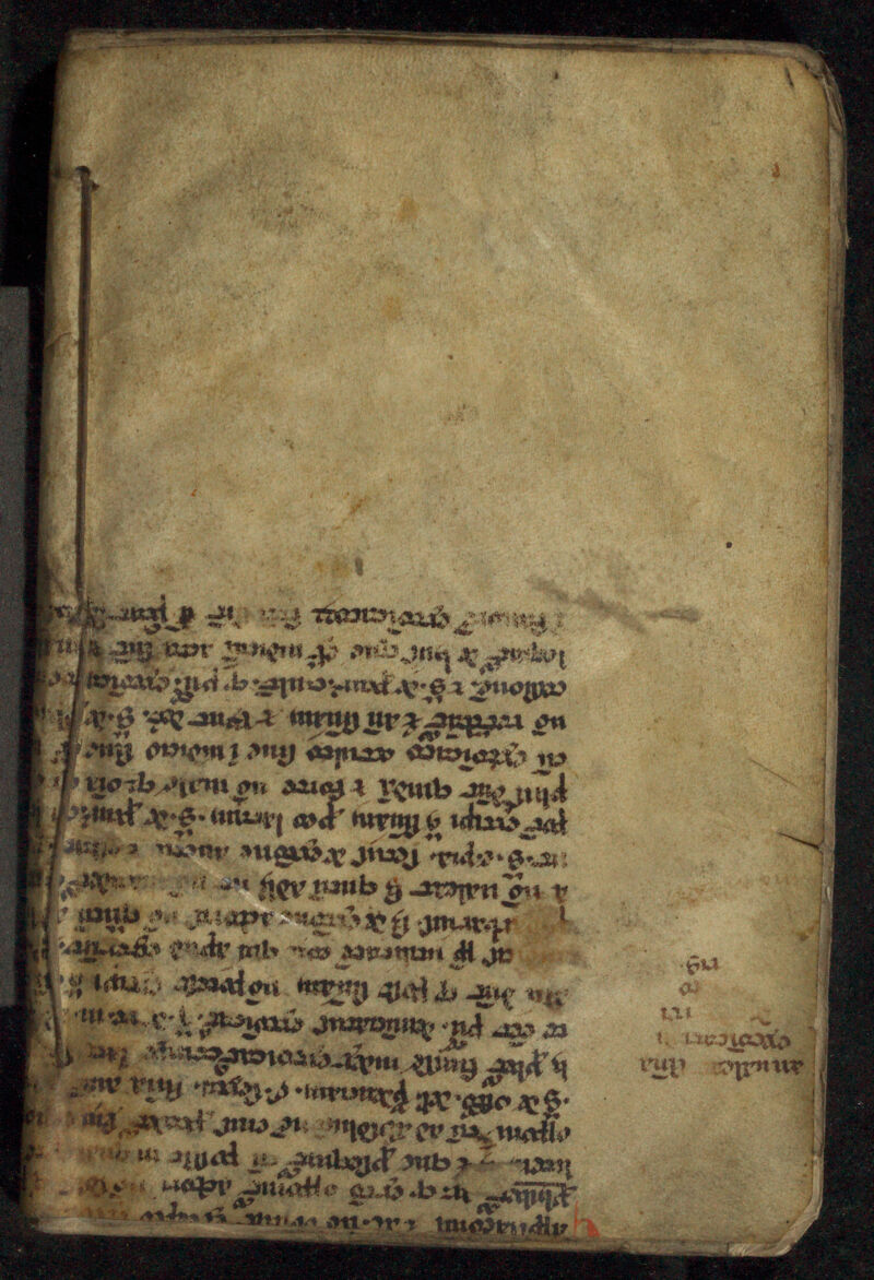 No text description is available for this image