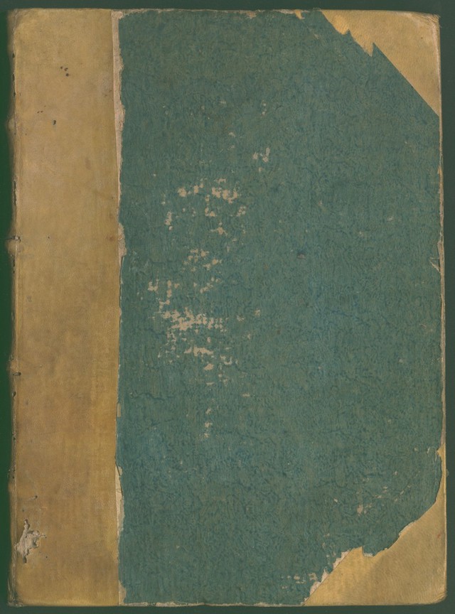 No text description is available for this image