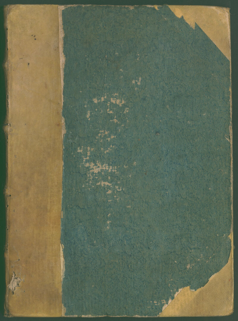 No text description is available for this image