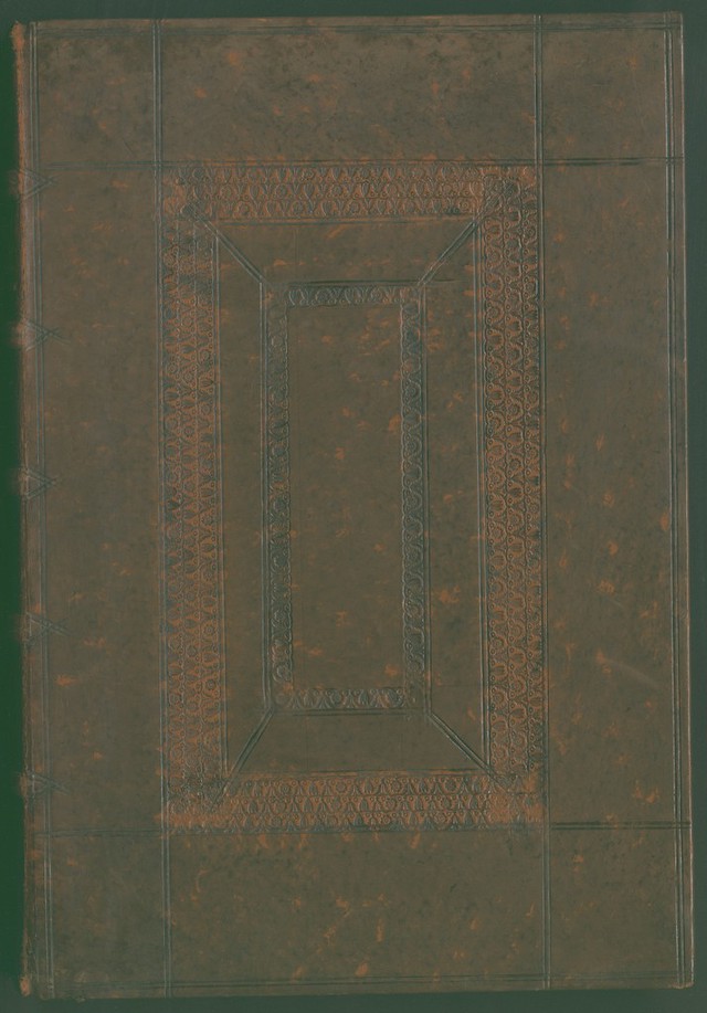 No text description is available for this image