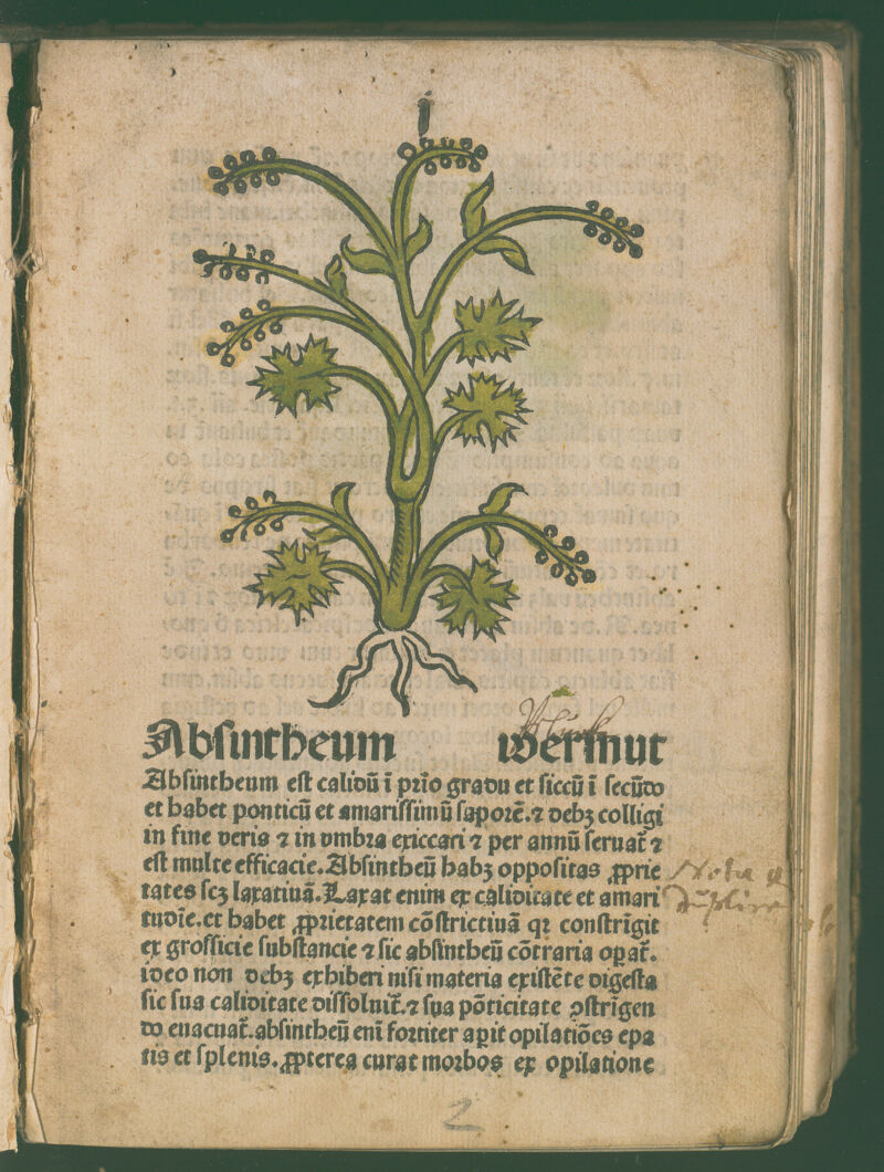 No text description is available for this image