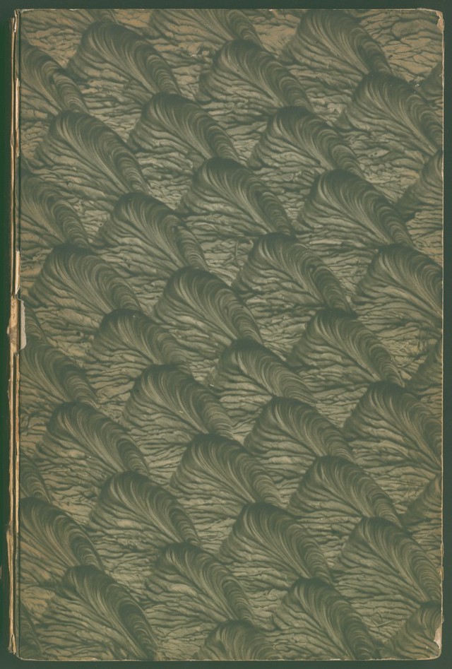 digitised image 1