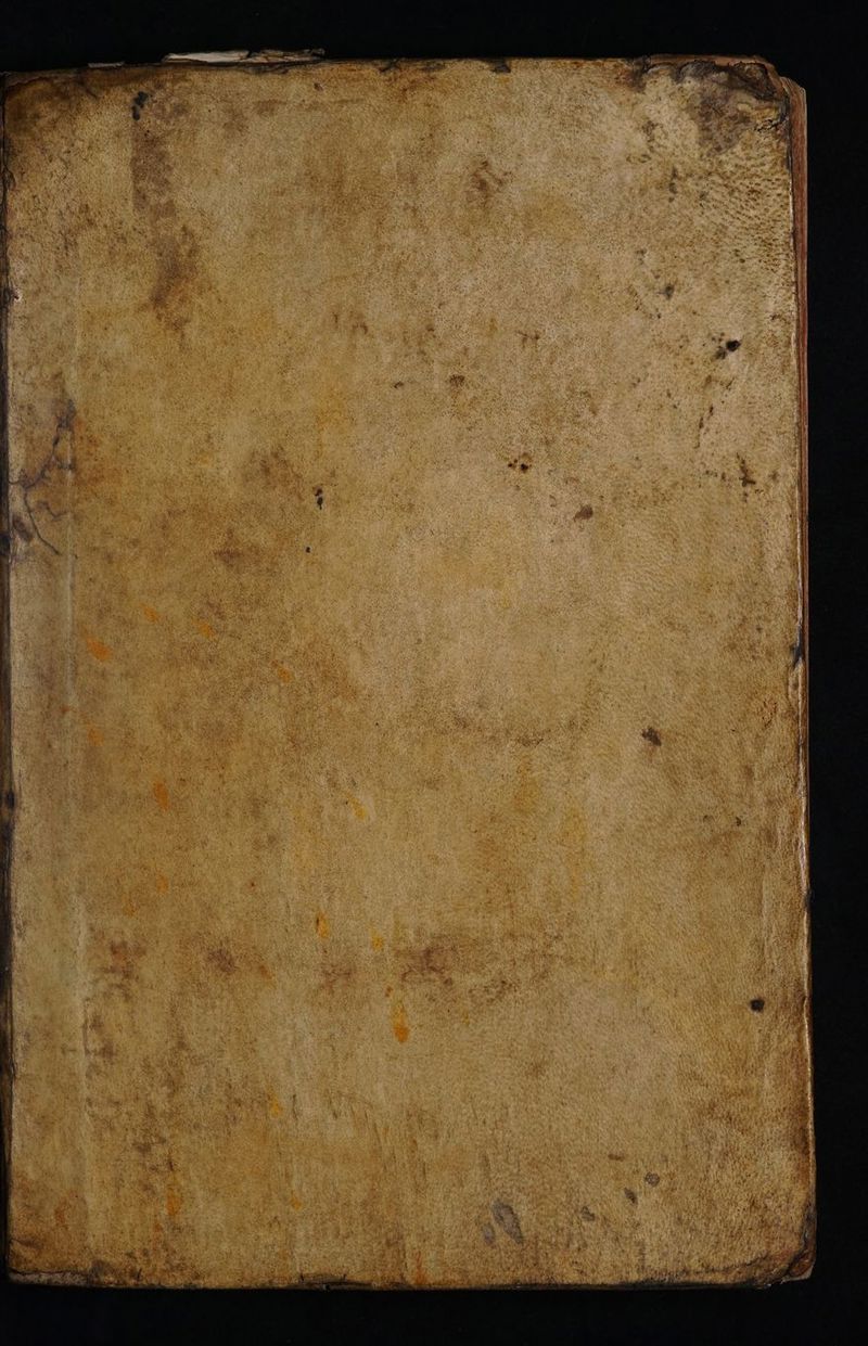 No text description is available for this image