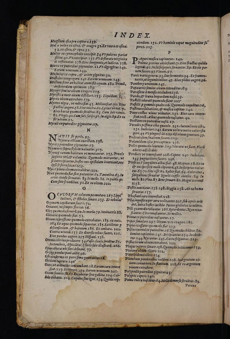 . SP TT Li IN. 4D. TNR LSCEMO MERCI 7 Iota mr aoreet ee 39 cs Yt OC Res E ^ —Á . ^ : bu Ah Y T 2 [N Mugilum efcapro captura.3397 ipd Mul a velox ex afina, c onagro 3 3Ex tauro et afind. 3 2.ex afino, C equa.32. Mulier ex cynocepbalo concipit. 4.Vt pulcros pariat |ofilios.40. Vt concipiat.155.t deflorata virginita Codi rellituatur. 378.Eius fimegmata ,et ludicra, 178. Mures ex putredine gienuntur.21.Ft COgregetur.242. Mu[mnius cx capra , et arietegignitur. 32. Wiwflelas congregare.242 Earum venenum. 243: Wuflum fcire an babeat ammifta 4QUATI. A8 2 Prio , - unfecundum optimi. 283; Ee Myagri femine oleum exugcré.103. uo Myriflira nuce oleum diflillare, 13 3. Liquidum; t, Myrra oleum extrabere.179. PgmE éMyrtus niera , vt rubra fiat.4 5. Meliorefcat.20: Eius. |o friius augere.5 8.Sine nucleo.62.L £gtiuy vireat., Eius bacce quomodo feruttur.82. Cum [uis vamis. G1. P'irgis.go.Cum fuis folijs.91. In algis.89.Ex ea ft »inum.91. | Myiuli ex putredine eiguuntu.a ^ (ON NZz PIS fit paris. 95. | Nature ostium coar&fare, 148, NN'erit e putredine cienuntur.2 7 Nummus fupra flylns voluatur,3 07. QNuncij canum babitum vt mentiantur. 2 $3. Proeis ' Jagittis vtiyet columbis. Quomodo mittantur , vt fi intercipiantur,bofles nec epiftolam inueniantynec ipfi fe ferrefciant:ios3.. | Nice pinea oleum extrabitur.103. Nux quoinodo fiat fiae putamine.62.Taventina.d 3I arcis claufa fernatuy. 83.Ia elle, 86, In paleis.gi. €wm fiis frondibus. 91:Ex caoleum. IQ2« Oo i (o CPLORPM colorempermutare.167.Lippi tudines, &r fiflulas fanave.1 53. Et nebulas Ocymum capillatum facere. 732, Oenante; vt femper floreat. $6. Oleg quomodo ferueut.9o.In muria.7 9.Invinaceis.89. Oleouua quoinodo frat. $ 1. Oleum expre[fione quomodo extrabatur. 183. ex ouis. | .384 Ex aqua quomodo féparetur. 8 $-Extilletur ? dejcenfovium , er balneum.186. Ex ambara. 392. Contva venenis.15 7. Ex diuerfis vebus facere, 101. Eius pondus augere. 293.Hi[pani. 158. Ornnia celerius producere. $ 4.Vafis claufa feruétur.85. In tenebris, cüfpiciatur,a foris fole illuflrant. 266. Oporothece wbi fieri debeant. 77. | Oryza pondus pani addit.96. | Oftratoderma ex putri fimo gentrantur.36, j Oridum taptura.240* a Sto d Oues;»t ardentits concunsbant.2 8.Earumcavo tenere [cat.224. Exttrtere, 194. Earum venenum.245. Ouuti [uauins fit.69-Bxcubetur fine gallina.104.Cal- fido clibanio. 104. Coquive (ine igne. 23 4.Quado rejje D'IX peret. 223. 1 P Dp dgurimufica capiuntur. 241. ^ A. Palma pcerius adolefcant.7)Eius frutfus quado legendi.9 2 .1n falfisiaquis feruautur.89. Ex eis pa« nem facere.93 Jinum.9 7. Tanis varia genera. 9 5 ine fermento.94 . Ex frumen- gateis,et leeumirinibus.45. Eius podus augere.96. Pantbere venenum.2 45. Papaueris femine oleum extruditura8 4. Para[itos à menfis excludere.126. Pardo,e legna leopardum na[ci.33. Pallilli odorati quomodo fiant. 2.05* Pa(filli p gemmis quales.6.Quomodo coqu&tur.n6, Paffinaca [altatione, d mufica capitur.2 41. l Pauo cotlus viuus videatur. 232. Eius caro teneye- fcat.228..4lbus quomodo nafcatur. 40. Pet ines ex putredine nafci. 2 7 TPecudes peffime cibo quando. 2:3 x» Incumdiores cibis, 23 t. Inebriare.2 43 Earum vellera vario colore fu gere. Pt pinguefcat.».29-difcolores enevare. 39. | Peldiculofum finaltum facere? 133. Palamidum efca pro captura. 136. Pelles quomodo lauentur.2 03.0dorata& »t fiant. Florü odores adfci[caat. E Perdices vt tenere[cant.23 8. Capere. 240. Inebriare,: 243 pugnaciores facere. 2.46. Perficus é [anguinto albus frat. 48.Magnus.5 S. Ex eo C nuciperfico mali cóponeré, 48.In feriptus nafca- Hur. 65.70,Sine offe. 62 Rubér flat. 64. Coloratus , Janguieus feruatur ligneis capfis claufus . 84. In »elle.86.Vino.87.Bene feruare.8o. Magni iucreme 2.59. Pellis auertàtur.158.298.c0tggia. 158. 4D ea bomo Jeruetur.157. | Pbafiani cao tenerefcat.4 38; Tile inenifereper aera volitantes.2 Y .fub aquis arde ant, intra bofles iaciada. Fereos globulos iacnlates, Tili quomodotollautur. Y66 Retardentur Non rena» fcantur.Citovenafcantur. Et molles. Tinte ex putredine nafcuntur. 17. T'iper fimulare.2 9 7. Oleum ex eo exugere.185. Tipio exo[Jatus quomodo fíat.2* 2. ijces terreni ex putredine.2 6.Q uomodo codátur. 80. lumine capiantur.2 41. Decipiantur.2 3 4. In ebrie- tur.244. Necantur.245 . Carta frigantur. 22.3» Piflaciorum oleumextrabere. Yo3,— | Plagas veteres fanare $ 8.Quoimodo inducamur.t 5 9, Platano oleiifn elicere.1o3, | Pleuritidem tollere. 54. / Plumbum pondevofins radere, 109. Indrgentum vi- utm contertere.In flannum, yog, Ex coargentum »iuum extrabeve, ES d y Torcus ^5 [Mop Ro nt