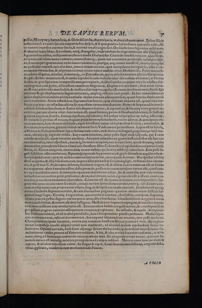 r ———— ^ CUDECAFVSISRERVY M. - gulfat; Mirt quoq; hatundinis, &amp; filicisdifcordia, &amp; peruicacia, vt alteraalteram necet , Ex hoc filicis radix contufà € canais fpicula corporiinfixa derjcit, &amp; fi quispenitus harundinem non nafci volet , fili ce vomeri impofito exaretur locus, &amp; minimé renafci cognofcet. Ocobacheinterlegumina nafci auet, &amp; maximé iuxta fabas ; &amp; orobum, easq; ftrangulat ; vnde orobanche cognomentum fibi vfurpauit: leguminibus addita, co&amp;ionemaccelerarettadit Diofcorides. Cicuta &amp; ruta fibiinuicem aduerfátur, ruta non nifi velata manu runcatür, contrectaturq;, quam nifi contexeris pernicitofa nafcentur vlce- ra; fi tamen perigaorantiam nuda manu runcaucris, prurigo, atq; tumor incefferit , manus cicute fuc €o perlinito: coptofa ruta efui data , veneai noxam obtinet , quz cicute fucco extinguitür, adéo vt ve- nenocum venena fint, &amp; ad potam cicütam rutam valere tradidit etiam Diofcorides . Ferox taurus fi- co arbori alligatus, miteícet, domaturq; , vt Zoroafter ait, qui ex delectis veterum placitis Geoponica fcripfit. Exhoc inuentum elt, vt caules caprifici fi carni bubulz inter elixandum addantur, vt Plinius fcribit, m:gao lignorum compendioeam percoquunt, &amp; Diofcorides propinat olyathos la&amp;eo fuc- coturgentcs cum poíca, ad hauftum taurinum fanguinem , Elephasariecem time; dum eiim ferita- te cff:rtur,ariete vifo manfuefcit; &amp; conflaccefcicimpetus, quibus Romani machinamentis;Pyrrhi Epi rotarum Rcgis elephantosin fugam verterunt; amplaq; victoria funt potiti. Ex hac contrarietateex iplius elephanti membris ad elephantiafin multa remedia adinuenta funt; quam fumma clephantotü cutis ementitur. Simia teftudinem fupramodum horret; qug ebrietati obnoxia eft , quàm vino inc- briata capiatur : ex tefludine abluta fit remedium contra temulentiam; Homo &amp; ferpeusadéo irrecó- ciliabili difsident fimultate, vt ftatim vifo ferpente horreat, &amp; expauefcat; &amp; foemine vtero gerenti oc- currens, partum abortu vitiet; hinc natum eft, quod fozmine partus difficultatelaboranti; ficfuffümi gatio exanguiam fenecta , fetum expellens; vel enecans. fed melius adipeipfius os vulue adlinitur. Homini ficlupivifus eft noxius, vr quem prius contemplatus fuerit, vocem adimat, &amp; anticipatus ob- tut nocentis, licet clamare defideret, vocis minifterio careat ; fi fe przuilum fenferit , conticefcit , &amp; ferocitate torpelcente, grauem virium iacturam facit, V nde natum prouerbium . Lupus eft in fabula, à Platonein Poliujstraditum:lupus herinaceum timet, vnde herinacei fanguis gargarizatus vocé rau- cam , obtufamq; argutam reddit. Lupo canisinimicus, cuius pellis fupeceum fufpenfa, qui à cane rabido morfuscil, aque timorem amolitur., Accipiter columbaceo generi hoftis infeftus elt, hoc tue tur tinuoculus, cuius afpetum , vocemq; formidat accipiter, nec eas hoc latet, quod vbicuaq; refidet tinunculus, prote&amp;oris fiducia é loca non faceffunt. Hiac Columella ad expellendos accipitres é col bario, ait, Genus accipitris, tinunculum vocantruftici; qui (anc in zdificijs nidos facit. Eius pulli fia guli fictilibus ollisconduntur, ftipantia4;'operculafupponuntur, &amp; gypfo lita vafa in angulis colum- barij fufpenduntur : quz res auibusamoremloci conciliat , nevaquam delerant. Huc fpe&amp;at celebre illud magnetis, &amp; allij difsidium:nam magnesalleo perunctus ferrum negligit, vt Plutarchus adnota- vit, &amp; poft eum C. Ptolemaus: dcleterig facultatis magnes eít, &amp; allium contra venenum eít, at fi cone tra magaetem :alereà nemineadhuc defcriptum fit polumus tamen conijcere verum effe, quod con- tra viperas,rabidos canes, &amp; venenofas aquarum.m utationes valeat , Sic &amp; animalia, quz vim venena- tis holtibus inimicitias gerüt,przliautur, &amp; imnpuné vorant, nobisargumento effe poffunt, contra eo ründem animalium venenatos ictus valere. Continua eft diinicatio cecuorum cuin ferpeatibus :fer- pens vifo ceruo ia caueraam fe condit ; ceraus narium fpiritu foras extrahit; voratd; :ob id contra eo- rum morfus ceruorum propinantur adipes, anguis &amp; lapidcsin oculis concreti. Elephantorü quoq; anima élatibulis ferpentes extrahit, &amp; cam draconibus pugnant: quorum membrorum fuffitus fer- pentes longé fugat. Ciconig é regionibus, quas incoluntlacettos , cherfydros ceachros, ferpeates, aliasüe pratorü peftes fugant: omaes earum artus illisaduerfantur. Idem facitibisin Acgypto.Ichneu mon loto feloricat, &amp; contra afpidem belligerat, Muftela cum ferpentibuspugaat,&amp; batilifco ferpen- tum venenofifsimo eius morfuscxitio eft. Excerret etiam ba(ilifcum gallicantus ,&amp; cum ferpentibus p gallinis pugnat; caiusius adíerpentum venenum propinatur. Sicteftudo , &amp; aquila. Scorpioni- us ftellionesinimici, ob id in oleo putrefa&amp;o , loca à fcorpionibus puncta perliaunt. Mulluslepo- rem marinum vorat, valetad eius venenum , Sus imp uné falamandram venatur, eius peíti medetur. Chameteonti accipiter inimicus, contra eius venenum hauftum ftercas potatur vino . Siccx plaa- tarum fimpathijs occulti aliquid venari non omittetur; ad aliquod malum expelendum focias ha- bent vires. Optimé corruda, vndefiunt afparagi feritur vbi arundo, quia multam inter fe ineuntfa- miliaritatem :ambo pronosad Venerem reddunt, Vitis, &amp; olea mutuo fruuntur confortio, ex Afri- cano: vtraq;ad hominum commoda amicas prebent vires . Sic attagenes ceruos amant , quorum lu- xuriofa natura eft: vtriufq; membra promptioresad coitum reddunt. Mutuusamor inter perdices &amp; capras, &amp; ad idem remedium valent. Sic argus &amp; capra. Canis homini amicifsfimus; corporis dolo, ribus applicato ; traníirein eum morbum tradit Plinius, A4 COELO