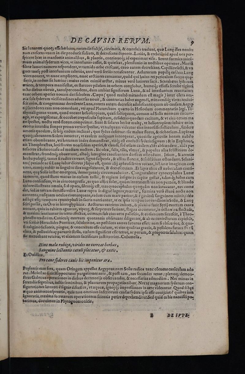 Siclanarem quoq; effe herbam; rotundis folijs!, circinatis, &amp; coeruleis tradunt, quz Lune dies nouit: nam crefcens vnum in dieproducit folium, &amp; decrefcens deponit. Lztiüs, &amp; crebriüsid apud nos per- fpiccre licet in manfuetis animalibus , &amp; plantis , continuoq; id experimur vifu. Sentit formica raici- mum animal fyderum vices, vt interlunio ceffet, &amp; quieícat , plenilanio ia noctibus operetur. Muriü fibre lunari numero refporident,vt tumido orbe crefcant, cauo autem decreícant. Capilli refe&amp;i,&amp; «n gucs tonfe poft interlunium celeriüs, ante veró feriüs renafcuntur. Aclarorum pupille eafdem Lune vices nouere, vt nunc ampliores, nuac ar&amp;iores cernantur,quód qui huius rei periculum facere que- fieritin eodem fit lumine: maius enim eximie ar&amp;tat , minus veró laxiores facit. Scarabzus fydezum etates, &amp; tempora manifeftat, ex (tercore pilulam in orbem conglobat, humoq; effoffa fcrobe viginti oo diebus obruit , tanifper condens, dum ambiat figniferum Luna, &amp;ad interlaoium reucrtatur; tuncorbem apeties nouam dat fobolem .Ccepa ( quod multó mirandum eft magis ) inter olera om- nia folafyderum vicifsitudines aduerfas nouit , &amp; contrarias habet augendi, minuendiq; vires: reuiui- fcit enim, &amp; congerminat decedente Luna,contra autem decrefcit adolefcente:quam ob caufam Acgyp tij facerdotes eam non comedunt, vti apud Plutarchum quarto in Hefiodum commentario legi. Ti* thymali genus vnum, quod vocant heliofcopium, quafi folfequum, comam adSolis normam circura- agit, vt expergifcatur, &amp; occubet crepufculis fopitum, defiderio quodam excitum, &amp; vt cius ortum ma ne pectet, no&amp;u veró florem comprimat .Sunt &amp; folares herb multe , vt heliotropion: iubáre enim €xorto interdiu femper prono vertice fpectat, vt nufquam videatur eius intorfiffefolliculum , fcedere amoris quodam , fe fed; eodem inclinat quo fydus defertur : fic maluz florcs, &amp; cichorium.Lupinus quoq;abeuntem Solem intuetur, vt eaulem nufquam intorqueat , quotidie agricolis horam nubilo etiam obumbrante ,vti horarnm index demonflrat , ei$d; cft confeci fyderisfigoum : &amp; in Euphrate; ait Theophraftus, loti florem non folüm aperiri,&amp; claudi, fed etiam caulem a!iàs abfcondere , aliàs pá- tefacere àSolisoccafu ad mediam no&amp;em . Sic olea , falix, tilia, vlmus', &amp; populus alba feliftitium de- monítrat; frondesq; obuertunt, albad; lanugine canefcentem dorfum otteadunt. ]rium , &amp; arentis herba pulegij, tamet fi radice careant, ligno fufpenía , &amp; affixa florent, &amp; folftitium oftendunt. Sceleni- tes ( perinde ac fi Lune iubar diceres ) lapis eft, quem alij aphrofclinon vocant, is Lun imaginem con tinet, eamq; reddit ia fingulos dies augefcentem, &amp; decrefcentem . Et lapis alius cft nubeculam conti- nens, que Solis inftar emergens, demergensá; circumuoluitur. Congratulatur cynocepbales Lunae inexorru, quod ftans manusin coclum tollit, &amp; regium infignein capite geflat, tslemd; habet cum Luna confenfum, vt in cius congreffu , ex quo affici folet, quüm intermenftrua non pernox, &amp; blando coloreilluftrans omnia, fcd opaca, filcasq; cft; mas cynocephalus qu oquàm non intueatur, nec come dat, fedin terram demiffo vultu Lunz raptu indigne lugens ;mocrcat , foimina veró illuni no&amp;e non conterita; nufquam oculos contorquens,cadem cum mare patitur, &amp; e geuitali ünguinem mittit;idéo adhec víq; tempora cynocephali in facris nutriuntur, vt ex ipfis tenpus coniun&amp;ionisSolis, € Lune fciri poflit, ex Oro in hieroglyphicis. Ar&amp;urus exoriens imbres , &amp; pluuias facit. Syrij exortum canes norunt; quiain rabiem aguntur, vipere, &amp; ferpentcs furiunr, ftagaa mouentur;in cellisvina flu&amp;tuát, &amp; maximi fentiuntur in terra ctfectus, ocimum fub cius ortu pallefcir, &amp; coriannum ficcefcit, à Theo- phrafto traditum. Cahicule exortum quotannis obferuant diligenter, &amp; ab ea coniecturam capicbát, vti fcribit Heraclides Ponticus, falubris ne, an peftilens annus futurus effet; nam fi ob[curior, &amp; qua- f caliginofa fuerit, pingue, &amp; concretum effe coelum, vt eitis qualitas grauis, &amp; peftilens futura 61: «lara, &amp; pellucida apparuerit ftella, ccelum fignificat cffe tenue, ac purum, &amp; propterea falubre: quain fic metuebant vetetes; vt ei canem facrificare inftituerinr. Columclla, Hine mala vubiooy virides ne torreat herbas , Sanguine lactantis catuli placatur, C extis, ; EcOuidius, | iwi Pro cAne fjdereo canis bic imponitur ara Prefentit cam fera, quam Oringem appellat Aegyptus:nam Solis radios tunc cótuens caniculam ado rat. Moleitas dicit Hippocrates purgationesante , &amp; poft eam , nec fecandas venas ; plerasq; demon- ftrat Galenus operationes ia diebus decretorijs obferuandas, &amp; neceffariasadmodüm . Nec minus in ferendisfegetibus, ia&amp;is feminibus, &amp; plantarum propagationibus', Necte magnorum fyderum con- figurationes lateant: e fignis difceffus , vtaquez, ighnecd; imprefliones in aere videantur. Quod fi hee quo animo;confpexeris quis non ómnium inferiorum caufas fydera ipfa effe conijciet ? quibusiam. ignoratis, maxima fecretarüm operationum fcientia perire deprehenditur.Sed quid cx his nancifci poe erimus; docuimus in Phytognomonicis, WIN | DE $PPE:
