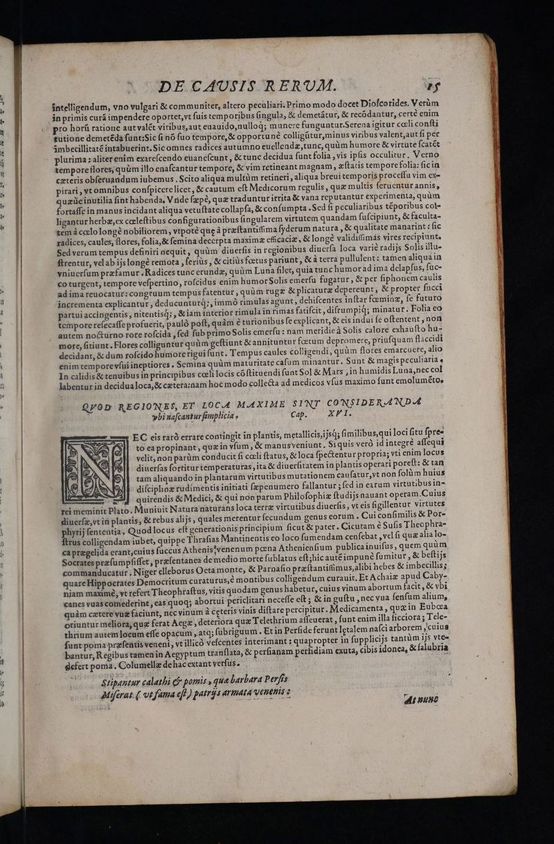intelligendum, vno vulgari &amp; communiter, altero peculiari; Primo modo docet Diofcorides. V crüóm pro horü ratione autvalét viribus,aut euauido,nulloq; munere funguntur.Serena igitur cceli confti tutione demetéda funt;Sic fi nó fuo tempore, &amp; opportuné colligütur,minus viribus valent;aut fi per imbecillitaté intabuerint. Sic omnes radices autumno euellendz,tunc,quüm humore &amp; virtute Ícatét plurima ; aliter enim exarefcendo euanefcunt , &amp; tunc decidua funt folia ,vis ipis occulitur. Verno temporeflores, quum illo enafcantur tempore, &amp; vim retineant magnam, z [tatis temporcfolia: ficin czteris obfecuandnm iubemus . Scito aliqua multüm retineri, aliqua breui temporis proceffu vim ex- pirari , vcomnibus confpicctelicet , &amp; cautum eft Medicorum regulis , quz multis feruenturannis, ligantur herbas,cx celeftibus configurationibus fingularem virtutem quandam fufcipiunt, &amp; faculta- temà ccelo longé nobiliorem, vtpote queà przftantiffma fyderum natura , &amp; qualitate manarint : fic radices, caules, llores, folia,&amp; femina deccrpta maxima efficaciz, &amp; longé validiffimás vires recipiunt, Sed verum tempus definiri iequit, quüm diuerfis in regionibus diuerfa loca varié radijs Solis illu- ftrentur, velab ijs longé remota , feriüs , &amp; citius feetus pariunt , &amp;à terra pullulent: tainen aliquain yniucrfum przfamur Radices tunc erundz, quiim Luna filet, quia tunc humorad ima delapfus, füc- co turgent, tempore vefpertino, rofcidus enim humorSolis emeríu fugatur, &amp; per fiphonem caulis ad ima reuocatur:congtuum tempus fatentur, quüm ruge &amp; plicaturz depereunt, &amp; propter fucci incrementa explicantur, deducunturq;, immó rimulas agunt, dehifcentes inftar foeminz, fe futuro partui accingentis, nitentisq; , &amp;iam interior rimula in rimas fatifcit , difrumpid; minatur. Folia eo tempore tefecaffe profuerit, pauló poft, quàm € turionibus fe explicant, &amp; eis indui fe oftentent , non antem no&amp;urno rore rofcida ,fed fub primo Solis emerfu: nam meridieà Solis calore exhaufto hu- more, fitiunt. Flores colliguntur quiim geftiunt &amp;annituntur fcetum depromere, priufquam flaccidi decidant, &amp; dum rofcido humorerigui funt. Tempus caules colligendi, quàm flores emarcuere, alio enim temporevfui ineptiores , Semina quüm maturitate cafum minantur. Sunt &amp; magispeculiaria « In calidis &amp; tenuibus in principibus coeli locis cóftituendi funt Sol &amp; Mars ; in humidisLuna,nec col labentur ia decidua loca,&amp; cztera:nam hoc modo collecta ad medicos vfus maximo funt emolumétoe QVOD REGIONES, ET LOC.A MAXIME SINT CONSIDERAN DA ybinafcantur fimplicia Cap. X P EC eis raró errate contingit in plantis, metallicis;ijsq; fimilibus,qui loci fitu fpre« to eapropinant, quzin vfum, &amp; manus veniunt. Siquis veró id integre affequi velit; non parüm conducit fi coeli ftatus, &amp; loca fpe&amp;entur ptopria; vti enim locus diuerfas fortiturtemperaturas, ita &amp; diuerfitatem in plantis operari poreft: &amp; tan tam aliquando in plantarum virtutibus mutationem caufatur,vt non folüm huius difciplinz rudimentis initiati fzepenumero fallantur ; fed in earum virtutibusin- uu mé quirendis &amp; Medici, &amp; qui non parum Philofophiz ftudijs nauant operam.Cuius rei meminit Plato. Muniuit Natura naturáns loca terrz virtutibus diuerfis , vt eis figillentur virtutes diuerfz,vt in plantis, &amp; rebus alijs , quales merentur fecundum genus eorum. Cui confimilis &amp; Por- phytij fententia, Quodlocus elt generationis principium ficut &amp; pater. Cicutam &amp;Sufis Theophra- Ítrus colligendam iubet, quippe Thrafias Mantinentis eo loco fumendam cenfebat ,vel fi qua alia lo- hy caprzgelida erant,cuius fuccus Athenis]venenum poena Athenienfium publicainuifus, quem quur Soctates przfumpfiffet, prafentanea de medio morte fublatus eft;hicautéimpuné fumitur , &amp; beftijs. commanducátur , Niger clIeborus Octa monte, &amp; Parnafio prazítantitimus,alibi hebes &amp; imbecillis; quare Hippoctates Democritum curatu rus, montibus colligendum curauit. Et Achaiz apud Caby- niam maximé, vt refert Theophraftus, vitis quodam genus habetur, cuius vinum abortum facit, &amp; vbi canes vuas comederint, eas quoq; abortui periclitari neceffe eft ; &amp; in guítu , nec yua fenfum alium; quàm cetere vuz faciunt, nec vinum à ceteris vinis diftare percipitur. Medicamenta, quz in Euboea oriuntur meliora, que ferat Aeg , deteriora quz Telethrium affeuerat , funt enim illa ficciora; Tele- thrium autem locum effe opacum , atq; fubriguum . Et in Perfide ferunt letalem nafci arborem cuius funt poma prefentis veneni, vt illicó vefcentes interimant ; quapropter in fupplicijs tantüm ijs vte- bantur, Regibus tamenin Aegyptum tranflata, &amp; perfianam perfidiam exuta, cibis idonea, &amp; falubria defert poma. Columelle dehac extant verfus. Stipantur calathi (f pomis , que barbara Perfes aMiférat.( vi fama eff ) patrjs armata venenis