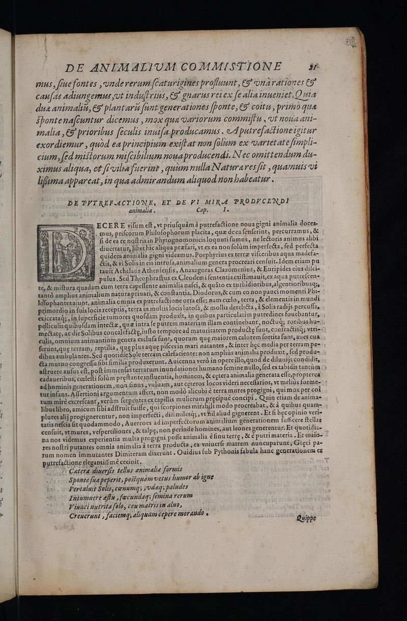 um pus , ffuefontes ,vumdeverum [Caturigimes profluunt , 9 omar ationes C9 cau[as adiungemus pot indu[tvius,€9' gnarus ret ex fe altainueniet.Q uta dua animalii, 9 plantaria funt generationes Jfponte, €9' coitus, prim qua ontena[cuntur dicemus ,mox qua'gartorum commi , «ot noua ant- salia ,€9 prioribus [eculis unut[a.producamus . ed putref actione igitur exordiemur , quód ea principium exiflat non folium ex uartetate fimpli- cium, ed misiorum mi[cibilium noua producendi. Nec omittendum da- ximus aliqua, et frxoiliafueriat , quim nulla Naturaves fit ,quamutsot lifima appareat ,in qua admirandum aliquod mon habeatur . DE PPTREF.ACT1ONE, ET DE V1 MIR.4 PRODFCENDI animalia . earn Ls & 5 ECERE vifum eft, vt priufquàm à putrefa&ione noua gigni animalia docea- x63 St, mus, prifcorum Philofophorum placita , que deca fenferint) percurramus, & oletetram calefaciente: non ampliüs animalia produxit fed produ- &a mutuo congreffu fibi fimilia produxerunt, Auicenna veró in opereillo,quod de diluuijs condidit, allruerc aufus cít, poft immenfas terrarum inundationes humano feminenullo, fed ex tabidis tantüm : cadaueribus, coclefti folüm preftante influentia, hominem, & cetera apimalia generata eífe,p topterea ad hominis generationem , non inns , vuluam ,aut ceteros locos videri neceffarios, vt mclius forme- tur infans. A ffertioniargumentum affert, non modoó alicubi à terra mures progigni, qui mox per coi tum míré excrefcant , verüm ferpentes ex capillis mulierum precipue concipi. Quin etiam deanimas libuslibro, amicum fibi adftruit fuitle , qui icorpiones mirabili modo procreabat , & à quibus quam- plures alij progignerentur, non imperfecti , diiimilesq; , vt nil aliud gignerent . Et fi hecopinio verie tatis nefcia fit quodammodo , Auerrocs adimperfectorum anim alium generationem fufficere ftellas cenfuit, vt mures, vefpertiliones , & talpe, non perindehomines, aut leones generentur. Et quotidia- na nos videmus experientia multa progigni poffe animalia éfinuterre , & € putri materia . Et «aio- res noftri putantes omnia animalia à terra producta , ea vnincrfi matrem nuncuparunt; Gteci pa- rum nomen immuzantes Dimiteram dixerunt. Ouidius fub Pythonis fabula hanc generationem cx putrefa&ione eleganti(imà cecipit..... | ue (0 Cetera diuerfrs tellus animalia formis Sponte faa peperit, posiquam vetus humor 4b igue Percaluit Solis, cenumq; ,vdaqi paludes Inimucre aftu ,fecundaqs femina rerum Viuaci autrita folo, ceu matris in aluo, Creuerunt , facicmqy aliquam cepere 230r AUd0 .