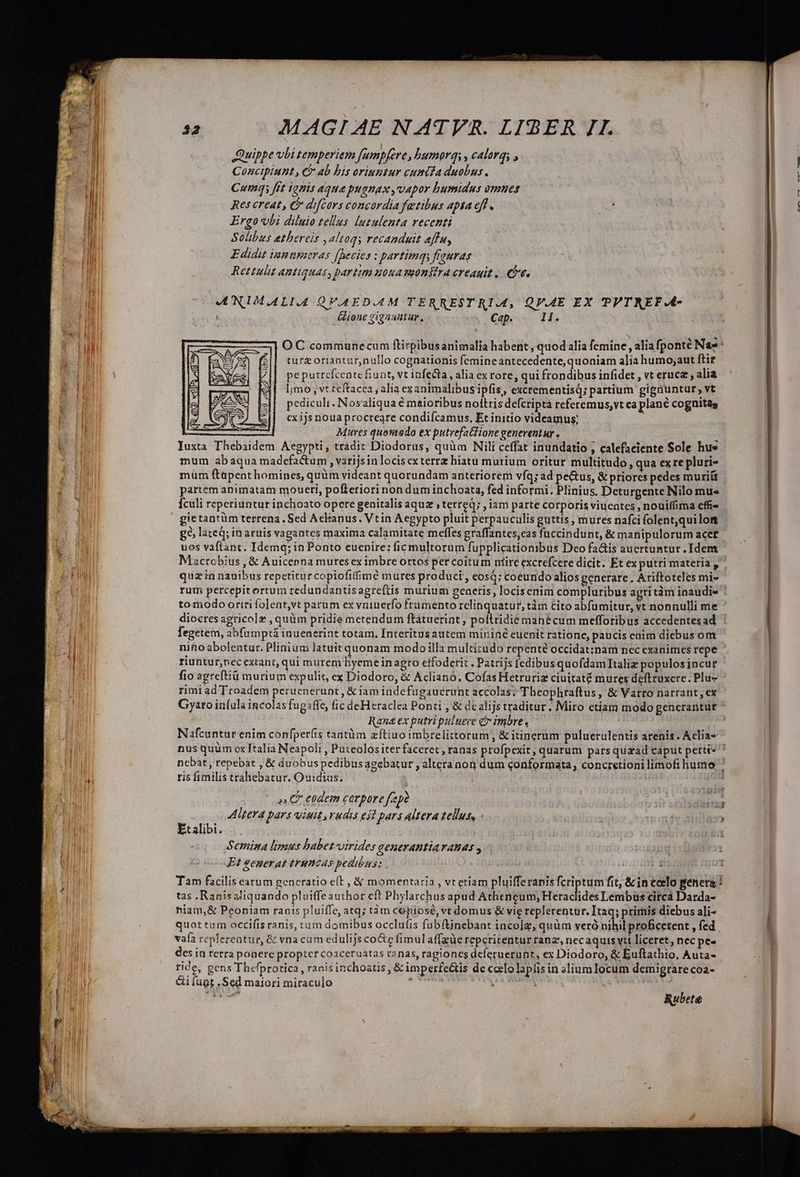 Quippe vbi temperiem Jfempfere, bumordi , calarq; , Concipiunt , €? ab bis oriuntur cumidaduobus. Cumq; fit tapis aque pugnax ,vapor humidus omnes Res creat, €? difcars concordia fetibus apta off. bs Ergo vbi diluio tellus. lutulenta recenti Solibus etbereis , altoqs recanduit effn, Edidit innumeras fpecies : partimqy fiauras Rettulit antiquas, partim uouasaonitra creauit, be. ULNIMALIA QVAEDAM TERRESTRIAM, QV.A4E EX PPTNEF-4- OC communecum ftirpibusanimalia habent , quod alia femine, alia fponté Nae turz oriantur,nullo cognationis femineantecedente, quoniam alia humo; aut ftir pe putrcfcente fiunt, vt infecta, alia ex rore, qui frondibus infidet , vt erucz , alia limo , vt teftacea , alia ex animalibus ipfis, excrementisq; partium gignuntur, vt pediculi. Nosaliqua € maioribus noftris defcripta referemus,vt ea plane cognitas cx ijs noua procreare condifcamus, Et initio videamus; i - Mures quontedo ex putrefatiione generentur , Juxta Thebaidem Aegypti, tradit Diodorus, quàm Nili ceffat inundatio ; calefaciente Sole hue mum abaqua madefactum , varijsin locis exterrz hiatu murium oritur multitudo, qua ex re pluri- mum ftapent homines, quàm videant quorundam anteriorem vfq; ad pe&amp;us, &amp; priores pedes muriü partem animatam moueti, pofleriori non duminchoata, fed informi. Plinius. Deturgente Nilo mu« Ículi reperiuntur inchoato opere genitalis aquz ; terreq; ; iam parte corporis viuentes , nouiffima effi» gietantüm terrena. Sed Acbanus. Vtin Aegypto pluit perpauculis guttis , mures nafci folent,quilom £6, lateq; inaruis vagantes maxima calamitate meffes graffantes,cas fuccindunt, &amp; manipulorum acce uos vaftant. Idemq; in Ponto euenire: ficmultorum fupplicationibus Dco fais auertuntur . Idem Macrobius, &amp; Auicenna muresex imbre ortos per coitum ntire excrefcere dicit. Et ex putri materia ,' quz in nauibus repetitur copiofifimé mures produci , eosá; coeundoalios generare, Ariftoteles mi- rum percepitortum redundantisagreftis murium geaetis, locisenim compluribus aptitàm inaudis : tomodo ortri folent,vt parum ex vniuerfo frumento relinquatur, tàm Cito abfumitur, vt nonnulli me * diocres agricole , quüm pridie metendum flatuerint , poltridié manécum mefforibus accedentesad ' fegetem, abfamptá inuenerint totam, Interitus autem mininé euenit rationc, paucis eaim diebus om nino abolentur. Plinium latuitquonam modo illa multitudo repenté occidat:;nam nec cxanimes repe riuntur,necextant, qui murem byeme inagro etfoderit . Patrijs fedibus quofdamItaliz populos incur fio agreftiü murium expulit, ex Diodoro, &amp; Aclianó. Cofas Hetruriz ciuitaté mures deftruxcre. Plue rimi ad Troadem perucnerunt , &amp; iam inde fugauerunt accolas; Theophraftus, &amp; Varro narrant, ex Gyaro iníala incolas fugaffe, fic deHeraclea Ponti , &amp; dcalijs traditur. Miro etiam modo gencrantur * Rana ex putri pulueve cr imbre, Nafcuntur enim confperfis tantüm aftiuo imbrelittorum, &amp; itinerum puluerulentis arenis. Aclia- nus quàm cx Italia Neapoli , Puteolos iter faceret , ranas profpexit, quarum parsquzad caput perté- nebat, repebat , &amp; duobuspedibusagebatur , alteranon dum qonformata, concretioni limofi humo ris fimilis trahebatur. Ouidius. | ' » C eodem corpore fap? I5 a ALTA bars viuit rudis ej] pars Altera tellus, - | ies Etalibi. —. oiv olt 6d Semina limus babet-virides aenerantiavanas y Et generat truncas pedibus: | | (nu Tam facilis earum generatio eft , &amp; momentaria , vt etiam pluifferanis fcriptum fit, &amp;inceelo genera tas .Ranisaliquando pluiffeauthor cft Phylarchus apud Atheneum, Heraclides Lembus circa Darda- hiam,&amp; Peoniam ranis pluiffe, atq; tàm copiose, vt domus &amp; vie replerentur. Itaq; primis diebus ali- quat tum occifis ranis, tum domibus occlufis fubftinebant incole, quüm veró nihil proficctent , fed. vafa replereatur, &amp; vna cum edulijs cote fimulaffzüerepcritentur ranz, necaquis vtt liceret, nec pe- des in tetra poaere propter coaceruatas ranas, ragiones deferuerunt, ex Diodoro, &amp; Euftathio, Auta- ride, gens Thefprotica, ranisinchoatis , &amp; imperfe&amp;tis de ccelo lapíis in alium locum demigrare coa- &amp;iíupt .Sed maiori miraculo T NO UNVIURE Th Rubete à rA 1]