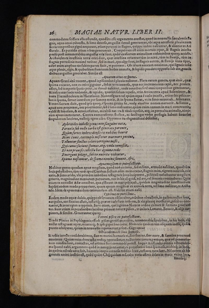 « w Ll P d ade. I MM a ———— n ——Ó— —— 26- MAGIAE NATFR, LIBER II. commodatos fciffura vlla oftendit, quodita effe argumento conftat; quod in nonnullis feeculentis fta gnis, aquaomni cxhaufta, &amp; limo deterfo,anguille denuó generantur, vbi aqua accefferit pluuia:znam ficcis temporibus gigni nequeunt, etiam percani in ftagno, quippe imbre nafcuntur, &amp; alantur ex Ari ftotele . Exputridis etiam rebusgenerantur. Compertum eft enim mortuo equo, &amp; ftagnis inie&amp;o Ariftoteles ex inteftinis terre oriri dixit, qug inteftina oriunturtüm in niati, tüm in flauijs, tüm in; ftagnis putredinis maximé ratione ,fed in mari , quaalge funt, in ftagnisautem , &amp; fluuijs iuxta ripas, calot enim amplius eas fubire partes facit , vt putreant.. Ob id nosamicuri nouimus; quiligneis vafis» aqua plenis, algis, &amp; quibufdam fluminum herbis immifüs, &amp; lapidis pondercoppreffis fub dio; paucis. dicbus anguillas gencrabat Similis eft 2a | | | epuarum ortus ex [puma Apuám Graci dev» vocant , quod is pifciculuse pluuia nafcatur, Plura earum genera, que depór , quae. Ípuma vocatur, non ex coitu gignitut , fed ex terra arenofa, qug nec incremeutum capit, nec prolem. affert, fed temporis fpatio perit, ac denuó nafcitur, vnde omnibus feré annitemporibus generantur, &amp; nafcuntür locis vmbrofis , &amp; tepidis, quoties folum tepefit, vtin Attica terra apud Salaminam , &amp;: iuxta Themiftocleum in Marathonc. Nonaufquam vel quim aqua é ccclo inceffit , oritur hic pifcicu- lus in fpuma, fertur interdum per fumma maris, &amp; in fpuma fluitat, vt in fimo vermiculi , Athenzus, Veneri facrum dicit, quod ipía quoq; éfpuma genita (it, vnde depoJíris nomen meruerit , Aclianus , apu£ non procreant, nec procreaptur (ed é limo nafcuntur, quiim enim ceenum in mari concreuerits valde &amp; limofum, &amp; atrum efficitur, mirabili nat:ra &amp; vitali tepefcit, atq; in permulta animalia,nimis. fcopuloram latebras, nulloq; egent cibo. Oppianus ita elegantime defcribit, Aphritides imbellegenus non fanguine nate, Paruula fab nullo gurba eff generata parente , Quim fortes imbres denfés ex nubibus baurit Mens Iouis, extemplo mifcetur murmure poutut, T olinntar fluéius celeri vertigine mifi ,.— Qui canas faciunt [umas atqy unda tumtféity v | Et non prauifés collecta bec aamina tedis Emergunt pelaeo , fubito nutrita videntur , ! Spuma nafcuntur, de f]uma nomina famunt, Cre. pua mugilum ex putrefatfiane. Nafcitur genus quodam apuz mugilum, quod nof excoitu,, fed exlimo , arenaüe nafcitur, quod türm locispaluftribus,tàm verà apud Gnidum factum olim memoratur,ftagnis enim,vigente canicula,exic catis, &amp; limo arido, vbi primm imbribus reftagaare loca inciperent , pifciculi nafcebantur mugilum. geheris, magnitudine meenarum paruarum, necin his aliquid, vel oui, vel feminis continebatur.Quin etiam ih nonullis Afiz amnibus , qua cffluunt in mari pifciculi , quidam magnitudine inteftinorum hepfeti eodem modo proueaiunt; quare apuam mugilum ex arenofa terra, vcl limo nafcitur, ex Arifto tele, Idem despua mznidum extimandum eft. Videtur etiam nafci | b | Cyprinus ex putri limo BM M eeocn : Eodem modo aqua dulcis, quippeobferuatum eft lacubus,mótibus obuallatis,in quibus nullus fons, Vempeb ones rantur, &amp; inter ceteros cyprinis, Sunt etiam, quilegitimo Naturz ordine cxmare &amp; fcemina generaits tur,Sunt etiam in peculiaribus lacubus priuatz natura pifces , yt inlacu Lemano, Beuaco,&amp; alijs care piones; &amp; fimiles . Generantur quoq; | d 2i ao: Terreni pifces ex putrefactione. vein Tradit Plinius in Paphlagonia effodi pifces gratifimos cibis, terrenos altisfcrobibus, in his locis, vbi . , nulla reftagnant aqua, miraturg; &amp; ipfegigni fine coitu. Humoris quidem vim aliquam ineffe, quam. Q3513 : : RUIN, , T .  o 3 t el puteis arbitratur, quim in nonnullis reperiantur pifces , Ciignuntur Ostracoderma ex limo fpumofo . Si teftis intecta confiderabimus, fiue ex marini humoris vi,fine femine,(ine mare, &amp; foemina procreari cernimus ; Quünrenim dura teíta vndiq; operta fint, vtnullusinteriorum partium, que ad generatio nem condita funt, conta&amp;us, velattritus ficri commodé poteft. Inquit Ariftotelesomnia oftracodet- , ma fponté nafci, argumento quód in nauigijs oriantur,ex putrefcente limo fpumofo,multisq; in locis, in quibus nil taleante fuit, humoris inopia coinofo reddito loco ,teítacea nata funt, Nil autem ab his genitale emitti inditio ef, quód quim Chij quidam ex Lesbo varia oftrca delatain maris vicina locas. LN x Pues