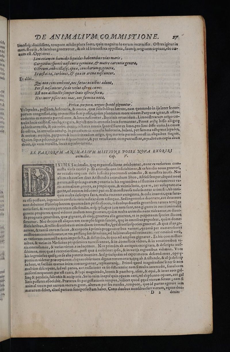 T uio odet lot ) his lod 3 MU —————— DE ANIMALIVM COMMISTIONE. 27 fimofaq; diuidiffent, tempore nihilo plura fuere, quin magnitudo earum increuiffec ..O (trea igitur in saari, fluuijs , &amp; lacubus generantur, &amp; ob id limnoftrea appellata , fuamq; origiaem capiunt,vbi cgi« | anum eft, Oppianus. TM | lam etian in bumidis liquidas babentibus- vias maris , Gureitibus fpont? naftemtia germina CP matre carentia genera, Ostreum Jmbecille[s apue, conchbarumqsaenera, Et teff acea, turbines, C qua im arenana[cuntur, Et alibi . (0 Quinn concumbuntynec fatus nexibus adunt, per fe nafcuutur fada veluz offre cata; Efl non dislincto femper leuis offrea fexu, Hos inter pi[ces uec mas, nec famina nota, bug Frtice, purpura, ungues [ponté gignuntur Vt lepades , pe&amp;ines, holoturia, &amp; omnia, qua fuis fedibus hzrent, nam quomodo in ijsinter fecot- porum congreffus,atq; commiltio fieri poffet, quim plantarum more viuant.Purpurz igitur,&amp; oftra. coderma ex materia putrefcente, &amp;limo nafcuntur, Buccinis ortus idem . Limnoftrcarum origo coe- nolis locis € dftit.Conche,vngues, &amp; pcélines in arenofislocisformantur ,Pinnz recte biffo alligate ialocis arenofis, &amp; ceeaofis; denig; teftacea omnia fponte fiuntcx limo,pro limi differentia.In coeno [o oltrea, in arenofo conche, in perrarum ca:sernulis holoturia, balani, per fumma adherent lepades; &amp; nerite: mytulis, purpuris &amp; bucciniseadem origo, qug materia putrefcens eft in aliquibus ftagnis. Quüm fepes pifcandigratia difpoaérentur,&amp; per vetultatem computruiffent,mytulorum copia abun dauit, ijs veto reyulfis, locus mytulis caruit, | EX FVARIQRE M ANJM-ALIPM MISTIONE POSSE NOP.4 EXORIRI animalia. Cap. s As x IXIMVSabimalia, que ex putrefa&amp;ione oricbantur , nunc ex variorum come Jj miftu varia cxoriri poffeanimalia aon inficiabimur,&amp; ex hisalia noua generari, ne occafio vnquam defit infinita procreandi animalia , &amp; monftra inuifa. Nec aliam ob caufam dixit Ariftoteles animalium libro , Africá femper aliquid noui parerenifi quiaaguarum penurain his regionibus ad flumina conuenirent vas ria animalium genera, ex propinquis , &amp; vicinis locis, quz v1, aut voluptate co» YET gente,ad coitum informés partus &amp; mon(truofa nalcebantur animalis. Ab anti- maducsomus-euE) quismulta defcripta fuut, multa recenter excogitata, &amp; catu inuenta,quz futu- ra effe poffunt, ingeniotis cordatis virisiudicandum relinquo . Sed ingeniofos diuertere,aut deterrere non debereat Philofophorum quorundam perfuafiones,:x duobus diuerfis generibus natura terti) ge neris fieri, &amp; neutris parentum efe fimilia, ead; ipfaqua 12m nata fant,)nongignerein om oianimaliü genere.propterea quod videant mulum non genetare,quüim multa animalia nunc videantur,ex diuer- fis prognata generibus, que gignant, ab eisd; generata alia gencrent, vt in perpetuum fpecies illa con feruetur. Nec decens eft aliquorum exemplo Iegem fanciri, qug iu omnibus preualeat, quim dome- fticislaribus, &amp; villis diuerorum animalium commiftu,fepé diuerfas fpecies generari , &amp; quz alias ge- nerent, &amp; tantó eorum facies , &amp; corpora à primis progenitoribus varient j quantó per numerofiores miítiones commifícentur,vt vix priftine fimilitudiais,vel habitus aliquid retineant: nec omninó verü, ex vatiorum commiítu nata im perfecta, &amp; dilfimilia, ex quo nil amplius gignatur. Ex his com miftio- nibus, &amp; variasin Medicina proprietates naacifcuntur, &amp;in domelticis vfibus, &amp; ia venationibus vt» tia emendamus , &amp; varias virtutcs iaducemus. Nos primüm ab antiquis excogitata, &amp; defcripta recé- fcbimus, mox qua à recentioribus , poft qua à pobifmet ipfis, &amp; in varijs regionibus vidimus. Vt ex his iageniofus quifq; ex fe alia poterit inuenire. Sed priufquàm ad experimenta dcfcendamus , opere- pretium videtur przceptionces aliquas obferuatu dignas rememorare,que ab Ariftotele, &amp; alijs defcrip ta Íunt, vt faciliàs mutuo initu coniungantur, repleanturq;. Primó quod magnitudine inter fe non multüm diícrepent, fcd vel parua, aut nulla inter ea fit differentia: nam fi multa intercedit, frmul com miíceri nequeunt; par eft canis, &amp; lupi magnithdo, leonis &amp; paathere, afini, &amp; equi , &amp; inter aues gal- linc &amp; perdicis, falcoüis &amp; accipitris ,Satis enim inepté quis equum cani,vel elephanto equam, aut gal linispaffetesaffociabit . Preterea fit par geftationis tempus , fcilicet quod equé vtrum ferant ; nam fi animal vnum per annum vterum geret alterum per (cx menfes , tempore, quo id partus egerere iam maturam debet, aliud partum femiperfe&amp;um habet, Canis duobus menfibus fert verum, equus duo» j : 2 denis: -