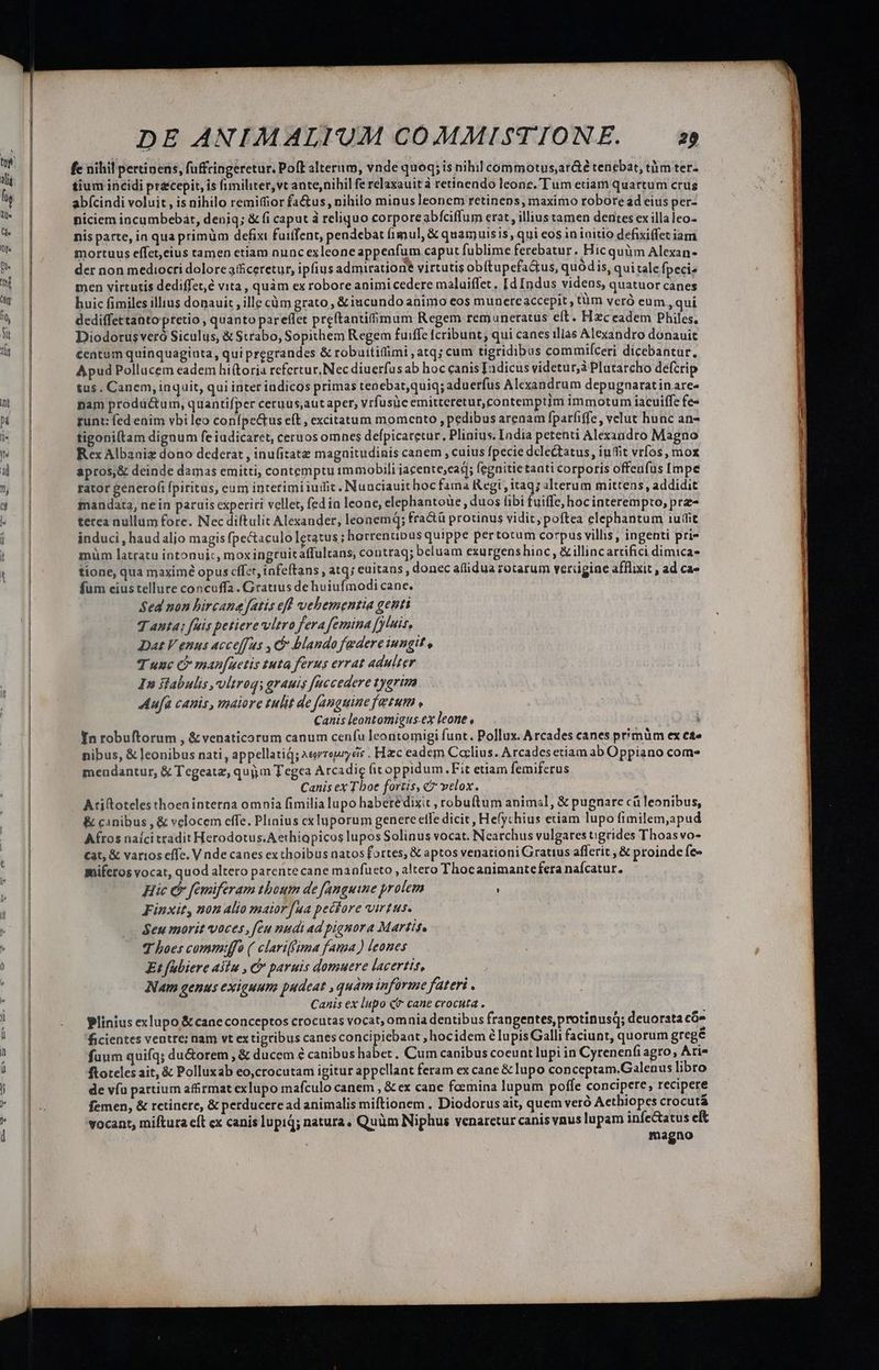fe nihil pertinens, fuffringeretur. Poft alterum, vnde quog; is nibil commotus,ar&amp;é tenebat, tm ter- tium incidi precepit, is fimiliter, vt ante,nihil fe relaxauit à retinendo leone. Tum etiam quartum crus abícindi voluit , is nihilo remifior fa&amp;us, nihilo minus leonem retinens, maximo robore ad eius per- piciem incumbebát, deniq; &amp; (i caput à reliquo corporeabfciffum erat , illius tamen dentes ex illaleo- nis parte, in qua primüm defixt fuiffent, pendebat (fimul, &amp; quamuisis, qui eos ininitio defixiffet iam mortuus effet,eius tamen etiam nuncexleone appeafum caput fublime ferebatur. Hic quàm Alexan- der non mediocri dolore afficeretur, ipfius admiration? virtutis obftupefa&amp;tus, quód is, qui tale fpecis men virtutis dediffet,£ vita, quàm ex robore animi cedere maluiffet. [d Indus videns, quatuor canes huic fimiles illius donauit , ille cüm grato, &amp; iucundo animo eos munere accepit , tüm veró eum, qui dediffettanto pretio , quanto pareflet preftantifimum Regem remuneratus eft. Hzceadem Philes, Diodorusveró Siculus, &amp; Strabo, Sopithem Regem fuiffe fcribunt; qui canes ilias Alexandro donauit centum quinquaginta, qui pregrandes &amp; robuitillimi , atq; cum tigridibus commifíceri dicebantur, Apud Pollucem eadem hi(toria refertur, Nec diuerfus ab hoc canis Iadicus videtur,à Plutarcho defcrip tus. Canem, inquit, qui interindicos primas tenebat,quiq; aduerfus Alexandrum depugnaratin are- nam productum, quantifper ceruus,aut aper; vrfusüe emitteretur,contemptim immotum iacuiffe fe« runt: fed enim vbi leo conípe&amp;us eít , excitatum momento , pedibus arenam fparfiffe, velut hunc an- tigoniltam dignum fe iudicaret, ceruos omnes defpicaretur, Plinius. India petenti Alexandro Magno Rex Albanie dono dederat , inufitatz magnitudinis canem , cuius fpecie delectatus, iuffit vrfos, mox apros,&amp; deinde damas emitti, contemptu im mobili jacente;ead; fegnitietaati corporis offenfus [mpe rator generofi fpiritus, eum interimi iuit. Nuaciauithoc fama Regi , itaq; alterum mittens, addidit fandata, ne in paruis experiri vellet, fed ia leone, elephantoüe , duos fibi fuiffe, hoc interempto, prz- terea nullum fore. Nec diftulit Alexander, leonem; fractü protinus vidit poftea elephantum iuit induci, haud aljo magis fpectaculo lgtatus ; horrentipus quippe pertotum corpus villis, ingenti pri- muüm latratu intonuic, moxingruitaffultans, contraq; beluam exurgenshinc, &amp;illincartifici dimica- tione, qua maxime opus cffet, infeftans , atq; euitans , donec aflidua zotarum verügine afflixit , ad ca- fum eiustellure concuffa. Gratius de huiufmodi cane. $ed non hircane fatis eft vehementia genti Tanta; fuis petiere vitro fera femina [yluir, Dat V enus acceffus , C blando federe iungit v Tunc C? man[uetis tuta ferus errat adulter Ia slabulis,vltroqs grauis fuccedere tyerim Aufa canis, maiore tulit de [anguine fetum , Canis leontomigus.ex leone , 1 In robuftorum , &amp; venaticorum canum cenfu leontomigi funt. Pollux. Arcades canes primüm ex ese nibus, &amp; leonibus nati , appellatiQ; ^eorrojr eis . Hzc eadem Carlius. Arcades etiam ab Oppiano coms meudantur, &amp; Tegeatz, quiim T egea A rcadie fit oppidum.Fit etiam femiferus Canis ex Tboe fortis, &amp;7 velox. Atiltoteles thoen interna omnia fimilia lupo haberedixit , robu(ítum animal, &amp; pugnare cü leonibus, &amp; canibus, &amp; velocem effe. Plinius cxluporum genere elfe dicit, Hefychius etiam lupo fimilem,apud Afros naíci tradit Herodotus.A erhiapicos lupos Solinus vocat. Nearchus vulgares tigrides Thoas vo- cat, &amp; varios effe. V nde canes ex choibus natos fortes, &amp; aptos venationi Gratius afferit, &amp; proinde fes mifetos vocat, quod altero parente cane manfueto , altero Thocanimantefera nafcatur. Hic c femiferam tboum de fanguine prolem : Finxit, non alio maior fua pectore virtus. Seu morit voces ,feu nudi ad pignora Martit, T boes commiffo ( clariffima fama) leones Et fubiere Alu , C paruis domuere lacerttt, Nam genus exiguum pudeat , quam informe fateri . Canis ex lupo Gt cane crocuta . Plinius exlupo &amp;caneconceptos crocutas vocat, omnia dentibus frangentes, protinusq; deuorata có» ficientes ventre; nam vt ex tigribus canes i gode ;hocidem e lupis Galli faciunt, quorum gregé fuum quiíq; du&amp;orem , &amp; ducem € canibus habet. Cum canibus coeunt lupi in Cyrenenfi agro, Ari- ftoteles ait, &amp; Polluxab eo,crocutam igitur appellant feram ex cane &amp; lupo conceptam.Galenus libro de víu partium afirmat exlupo mafculo canem , &amp; ex cane foemina lupum poffe concipere, recipere femen, &amp; retinere, &amp; perducere ad animalis miftionem . Diodorus ait, quem veró Aethiopes crocutá vocant, miftura eft cx canis lupiq; natura. Quüm lNiphus venaretur canis vnus lupam infectatus cft magno