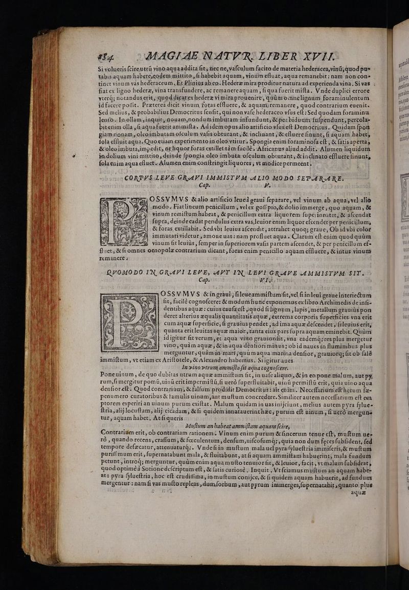Si volueris fciteutrü vino aquaaddita fit; nec ne,vafculum facito de materia hederacea,vinü;quod pu* tabisaquam babere,codem mituto , fi habebit aquam, viaum efluat, aqua remanebit: nam non con- fiat ex ligao hederz, vina transfundere, ac remanereaquam , fi qua fuerit mifta. V nde duplici errore vterd; notanduserit, quod dicatex hederz vimiraprouenire, quümomneligaum foraminulentum id facerc poffit. Praeterea dicit vinum foras eflluere, &amp; aquami remanere, quod contrarium euenit. Sed mclius, &amp; probabilius Democritus fenfit, qui non vafe hederaceo vfus eft : Sed quodam foraminu lento .. In. ollam ,inquit,.nouam,nondumimbutam infundunt; &amp; per biduum fufpendunt, percola- bitenim olla ,(i aquafuetirammifta, Adidemopusalio artificio vfuseft Democritus. Quidam fpon giam nonam ,olcoimbutam ofculum vafis obturant, &amp; iaclinant ,'&amp; cfluere finunt, fi aquam habet; Íola cffluitaqua. Quo etiam experimento in oleo vtitur, Spongia enim Fforaminofa eft , &amp; fatisapertas &amp; oleo imbuta,impedit, ne liquor foras cxtillettàm facilé, Africanus aliud addit. Alumen liquidum in dolium vini mittito , deinde fpongia oleo imbuta: ofculum obturant; &amp;inclinato effluere finunt, fola enim aqua efluct.. Alumen enim:conílringit liquores; vt modicepermceent. CORPÉS LEVE GRAVI IMMISTI M .A4L10 M0DO SEPARARE. Cap. F. zi OSSVMVS &amp;alio artificio leue graui fepatare, vel vinum, ab aqua, vcl alio modo. Fiatlineum penicillum , vel ex gofip1o,&amp; dolio immerge,; quo aquam , &amp; vinum remiftum habeat , &amp; penicillum extra liquorem fupeiionatet, &amp; afcendat fopra, deindecadat pendulus extra vas,leuior enim liquor efcendét per penicillum; &amp; foras exillabit. Sed vbi leuius afcendit, attrahet quoq; graue, Ob id vbi color immutati videtur ,amoue uas: nam profluet aqua. Clarum eft enim quodquüm vinum fit leuiüs , femperin fuperiorem vafis partem afcendet, &amp; per penicillum ef- flaet, &amp;fi omnes oenopolz contrarium dicant, foras enim penicillo aquam cfHluere, &amp; intus vinum rcmancte s Q70OMODO IN GRAVI LEVE, APT IN OLEPIGR.APE .J4MMISTPM SIT. Cap. EIÓj3 4 0SSVMVS &amp;ingràui;fileweammiftumfit,vcl fi inleui graueinterie&amp;um t it, facile cognofcere: &amp; modumhunc exponemaus exlibro Archimedis deinfi- dentibusaqua : cuiuscaufaeft ;quod filignum , lapis, metallum grauiüs pon deret alterius equalis quantitatis aquz extrema corporis fuperficies vna erit cum aquag fuperficie; fi grauüiuspenudet ad ima aquz defíceodet; fileuius erit, quanta eritleuitas aqua maior,tanta eius pars fupra aquam eminebit, Quüm idigitur fit verum, ec aqua vi'ío grauionfit, vna eademq; resplus mergetut vino, quàm aquz , &amp;inaqua déntiori minus: ob id naucsin flumimbus plus merguntur, quàm in mart ;quum aqva: marina denfior, grauiorq; fit ob falà immiftum, vt etiam ex Ariftotele, &amp; Alexandro habenius. S1 igituraues : In vinovtrum ammifla fit aqua cognofcere. Poneuinum, dequo dubitas utrum aque ammiítum fit, in uafe aliquo ,'&amp; ia eo pone malum, aut py. rum,fi mergitur pomü,uin&amp; eritimpermiflü,fi ueró faperfluitabit, uinü permiftá erit, quia uipo aqua denfior.eft. Quod contrarium; &amp; falfum prodidit Democritus: àit ébim. Neceffariüm eft herum fz- penumero curatoribus &amp; famulis uinim,jaut muftum concredere. Similiter autem neceffarium eft em ptorem experiri an uinum purum exiftat. Malum quidam ia uasinijciunt , mclius autem pyra fylue- ftria,alijlocuftam; alij cicadam ; &amp; fi quideminnatauerinthzc; purum eft uinum , fi üetó mcrgune tur , aquam habet, Atfiqueris Muflum an babeat ammiflam aquam [cire, Contrarium erit, ob contrariam rationem; Vinum enim purum &amp; fincerum tenue cft muftum ue- ró , quando recens, craffum , &amp; feeculentum ; denfum;uifcofumQ; , quia non dum feces fubfident, fed tempore defzcatur,attenuaturd;. Vndefiin muftum mala uci pyra fylueftria immiferis,&amp; muftum puriffmum erit, fupernatabunt mala, &amp; fluitabunt , at fi aquam ammiftam habuerint; mala fuadum petupt , introq; merguntur, quüm enim aqua multo tenuior fit, &amp; leuior , facit, vcmalum fubfideat, quod optiméà Sotionedveícriptum eft , &amp; (atis curiosé Inquit . Vtfciamus muftum an aquam habe- at: pyra fylueftria, hoc eft cruditima, in muftum conijce, &amp; (i quidem aquam habuetit, ad fundum mergentur : nam fi vas multo repleas ,dumíorbum aut pyrum immerges,fupernatabir , quanto plus | Un aqua