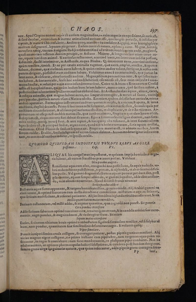 yincit* offimls, li buius tems, y ud qu quiin qutt yd! fact utt r CHO, 207 tate. Apud Grecos nomen Aayoz ab aurium magnitudine;A« enim auget in compofitione,dz auris eft, &amp; fané decebat , vttimidum &amp;inerme animalbenéauritum effe, quolongiü: pericila , &amp; infidiasper ciperét , &amp; mature fibiconfuleret . Auditu quoq; acerrimoita credidere Acgypüj, vtin hieroglyphicis auditum defignaturi , leporem pingcrent. Eadem cuniculi natura , cedem; aures. Magne, hirtzd; aures funt vacce, taurum à triginta ftadijs vehémentifime ad coitum exardefícentem audit ,mugiente, quaíiamatoriam tcfferam dantem percipit ; ex Acliano. Maiores &amp; longiores fünt etiam ceruo au- res, vtpote timidum animal. Si auriculas rectas tenet, acerrime lentit,neclatereeumin(idiz poffunt, fi dimittit , facile interímitur, ex Ariftotcle, exquo Plinius. Qo»üm erexere aures , acerrimi auditus; quüm remifere, timidi. Et ne per cetera animalia vagemur, quz aures, amplas ,arre&amp;as , &amp; apcrtas habent, dicimus , quz eiufmodi aures habent, &amp; quàm cminus audire volunt,(urriguot,&amp; verfus cam partem dirigunt, perfectifimum auditum habere. Videbimus nuncà contrariacaufa , quz paruas ha bentaures , &amp;obícuras , obtufioris effe auditus, Magna pifcium pars auribus catet , &amp; qui (olos mea- tus habent , &amp; fineauriculis , feufu hoc audieadihebetiori effe neceffe eit, furit enim auriculzà natu- raconftru&amp;z;, vt veluti per easin auresinfundetenturíoni. Cuius cei Adrianus Romanorum Conful teftis cft locupletifimus , quiquüm fenfum hunc lzíum haberet , manus cauas , quó faciliusaudiret , à pofterioribus ad anteriora [pectantes auribus obftendebat. Ec Ariftoteles dixit equos , afinos, canes, — &amp; reliqua animalia, qug magnas habent aurcs, eas Ícraper circumagere , &amp; verteread fonos, vocesqgr. percipiendas , partium earum vfam à Natura edoc&amp;ta. Eos eciam,quibus abfciflz funt auricule,minus audire experimur, Forma igitur inftrumenti auditus oportet (itampla, &amp; concaua &amp;aperta, &amp; intus cochleata , duplici de caufa. Prima fi (oniintus re&amp;é ferrentur , oblzdercarfebnfum , fecundo quia per cochleam circumferuntur , &amp;allifavox per aurium anfractus , muluplicatur, vt de echo videmus. At- gumentum rci effe poteft cochlea marina illa, quz auribusadmota, ftrepitum quendam Icuem efücit, Reliquum eft, exqua materia fieri debeat dicamus . Ego «x foramiavlentislignis dicerem , nam fota- mina vndig;, poriq; peruij funt, &amp; aere repleti , &amp; leniquoq; icu refonant, &amp; inter foraminulenta hgna hedera ett, &amp; precipue fmilax, argumento; quod vss ex hedetatornatum , forisaquam extillat, vtdiximus. Obid Plinius de fmilaceloquensait. Proprium materiz eft, vt admota auribus, leuem fonum reddat. Etalibi, Smilacislignum ad aurem fonare diximus. Accommodeturigituriaftrurmen &amp;um , vt commode auribus indatur, vt fpecilla oculis. Q0MODO QV1BF$DA4M IMPOST/RIS PONDVS REBFS AV GERE pol[fmus .- Cap. PUR tia habent , ab eorum fraudibus precaueri point. Videlicet e | Oleo pondus augere . ea Remifcetur aqua cum oleo , vtcogaofci non poffit fraus , firaquis turbidis, ve- p RI luti ex deco &amp;ionepaftillorum , raporum, &amp; afphodeli, vt ab eo fecerni diffici- lius pofit. Vel gummi draganti ele&amp;um inaquam ponunt per duos dies, poft pila coatere, aquam femper addendo, vt gummiliquefcat, adde oleo extillan- do, eain oleum conuertetur. Haud diüimili fraude nituntur Serico pondus addere | Bullientisaquz fumo opponunt , &amp; tutgens humiditateillius , grauius euadit. Alij Arabicigammi vr ciam rerunt , &amp; optime fucrcetum cum mcllis deco&amp;ione commi(cens , mifturam in aqu«m foluunt, qua fericum madefaciunt , &amp; reficcari patiuntur. Alij in frondibusiuglandis viridibus afferuant, Si vis Mellis quantitatem maiorcin reddere, Farinam caftanearum, vel millii addes , &amp; augetur quantitas, que cogaofci non poteft. Sic poteris Cera pondus excrefcere Adde farinam fabaceam optimé contritam cerz, tenuiterd; contritam,&amp; in candelis atdebit fine excre- mentis ; auget pondus, &amp; magaitudinem , &amp; vix detegitur fraus. Sicetiam Sepuim maius excre[cere Facies, fi cinerem tibiarum bouis optime combuftarum figulorü fornacibus remifces , vel fi fulphural bum nam pondus, quantitatem fine fimilitudinis deformitateauges. 5i voluerit quifq; | Piper [imulave . Lor v A Poterit iuniperi femina cruda colligere, &amp; corrugari patiatut , poftea piperis granis commifceri, Alij uicias magnas nigras colligunt, eas primo bulliunt cum piperaltro , nam turgentesaqua quum re- ficcantur , in rugas fe contrahunt : nam fieas maaducaueris, os plufquam piper comburet i Nos ita adulterauimus, ut optimos pharmacopolas ludicré fefellerimus, &amp; cum ioco poft fraudem detegimus, fumito grana uirgz [anguinariz matura, que quum reficcantur , adéo piperis Boc pug fimus ; P ant; s QV AS hiccongeffimus impofturas, vt quicum impijs hominibus nego-. EL eoi Wroio RENE code jm ————ÓÀ M okadlasieito. ea e 2 eal e