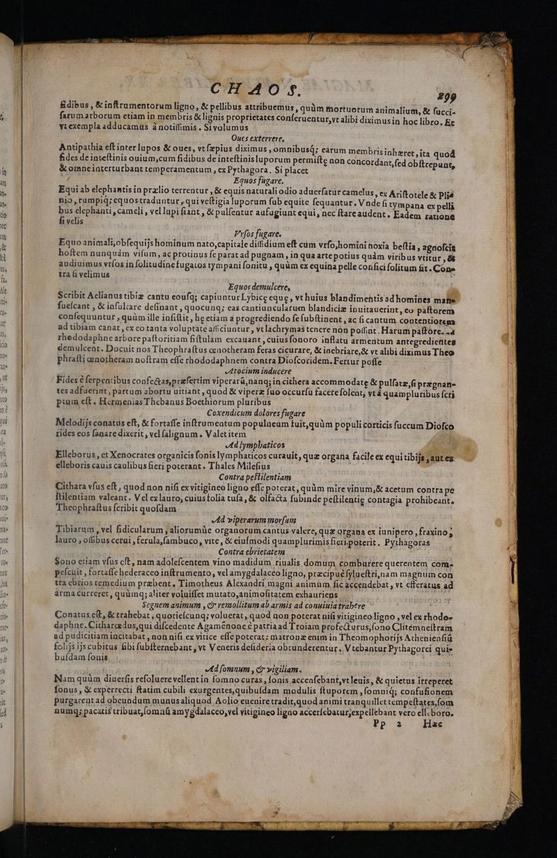  ICIg CH AO f. j» &amp;dibus , &amp; infttumentorum ligno, &amp; pellibus attribuemus , quàm mortuorum animalium, &amp; fucci- farumarborum etiam in membris &amp; lignis proprietates conferuentur,vt alibi diximus in hoc libro. Et yt exempla adducamus ànotiffimis . Sivolumus Oucs extervere, Antipathia eft inter lupos &amp; oues, vt fzpius diximus, omnibus; eàrum membrisinhzret fides de inteltinis ouium,cum fidibus de inteftinisluporum permifte non concordaat, &amp; omnceinterturbant temperamentum , ex Pythagora. Si placct d Equos fugare. Equi ab elephantis in przelio terrentur , &amp; equis naturali odio aduerfatüc camelus, ex Ariftotele &amp; Pli nio,rumpid; equostraduntur , qui veftigia luporum fub equite fequantur. Vnde fi tympana ex pelli bus elephanti , cameli , vel lupi fiant , &amp; pulfentur aufugiunt cqui, nec ftareaudent. Eadem ratione fi velis »ita quod fed obftrepunt, Vrfos fugare. ! Equo animali,obfequijshominum nato,capitale diffidium eft cum vrfojhomini noxia beflía » agnofcit hoftem nunquàm vifum, ac protinus fe parat ad pugnam, in qua artepotius quàm viribus vtitur , &amp;&amp; audiuimus vríos in [olitudine fugatos tympani fonitu , quüm ex equina pelle corifici folitum fit . Cone tra (i velimus i | Equos demulcere, p Scribit Aclianustibiz cantu eoufq; capiuntur Lybice eque, vt huius blandimehtisad homines T fueícant , &amp; infulzare definant , quocunq; eas cantiunculatum blandiciz inuitauerint, eo paftorem confequuntur , quüm ille infitit, he etiam à progrediendo fe fubftinent , ac fi cantum contentiorem ad tibiam canat , ex co tanta voluptate afficiuntur, vtlachrymas tenere non poffiat. Harum paffore. a rhedodaphnearborepaftoritiam fi(tulam excauant,cuiusfonoro inflatu armentum antegredienteg demulcent. Docuit nos Theophra(tus cenotheram feras cicurare, &amp; inebriare,&amp; vt alibi diximus Theo phraíti oenotheram noftram effe rthododaphnem contra Diofcoridem. Fertur poffe -dtocium inducere Fides €ferpentibus confe&amp;as,przfertim viperarü,nanq; in cithera accommodate &amp; pulfatz.fi przpnan- tes adfueriat, partum abortu uitiant, quod &amp; viperz fuo occurfu facerefolcat, vtà quampluribus fcri pium eft . Hcrinenias Thebanus Boethiorum pluribus m. Coxendicum dolores fugare Mcelodijs conatus eft, &amp; fortaffe inftrumcatum populneum tuit,quüm populi corticis fuccum Diofco rides eos fanare dixerit , vel (alignum . Valet item M iN td ympbaticos WO Elleborus, ct Xenocrates organicis fonis lymphaticos curauit, qua organa facile ex equi tibijs jautex elleboris cauis caulibus fieri poterant. Thales Milefius LUE - | Contra pestilentiam Cithara vfus eft, quod non nifi exvitiginco ligno effc poterat, quüm mire vinum,&amp; acetum contra pe Ttilentiam valeant. Vel exlauro, cuiusfolia tufa, &amp; olfa&amp;a fubinde pettilentie contagia prohibeant, Theophraftus fcribit quofdam | | quaa vdd viptrarummorfum Tibiarum , vel fidicularum , aliorumie organorum cantus valere, quz organa ex iunipero ,fraxino ; lauro ; offibus cerui , ferula,fambuco, vite, &amp; eiuímodi quamplurimisfieri.poterit. Pythagoras | | Contra ebrietatem — ss dd | Sono ctiam vfus cft, nam adolefcentem vino madidum riualis domum comburere querentem com. . peícüuit , fortaffe ederaceo inftrumento, vel amygdalaceo ligno, przcipuéfylueftriynam magnum con tra ebrios remedium przbent, Timotheus Alexandri magni animum. fic accendebart , vt cfferatus ad arma curreret , quüinq; aliter voluiffet mutato,;animofitatem exhauriens Jd sj Segnem animum , cr remollitum ab armis ad conuiuia trabere Y Conatus eft, &amp; trahebat, quotieícunq; voluerat, quod non poterat nifi vitigincoligno , vel ex rhodo- ad pudicitiam iacitabat , non nift ex vitice effe poterat; matronz enim in Theomophorijs Athenieafiü folijs ijs cubitus fibi fubfternebant , vt Veneris de(ideria obcunderentur. V tebantur Pythagorci quie bufdam fonis, | | : Vd [omnum , cr vigiliam. | | Nam quim diuerfis refoluerevellentin fomno curas, fonis acccafebant,vtleuis, &amp; quietus itteperet fonus , &amp; experrecti ftatim cubili exurgentes,quibufdam modulis ftuporem ,fomnid; confufionem purgareatad obeundum munusaliquad Aolio eucaire tradit,quod animi tranquillet tempeftates,fom numgq; pacatis uibuat,loma(ü amygdalaceo, vel vitigineo ligao acceríebatur;expellebant vero ell.boro. Pp a Hac