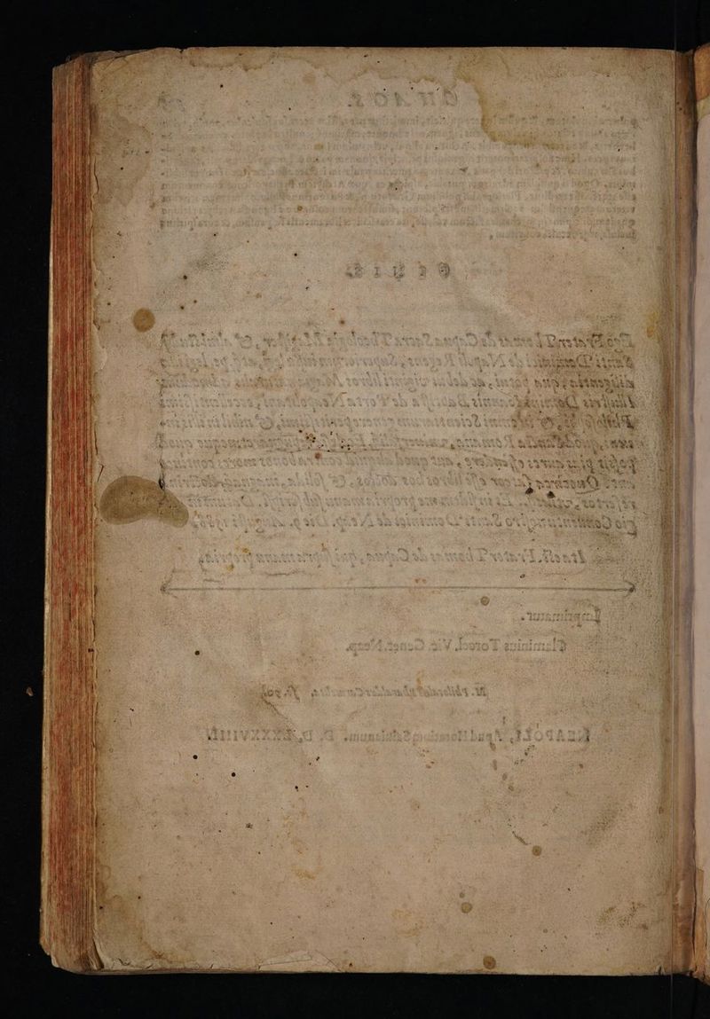 ITE Ggeter gutem uu Tr doe o ee TONQNORM Eo ee ^ .* Ass CON . sep »c fia 3