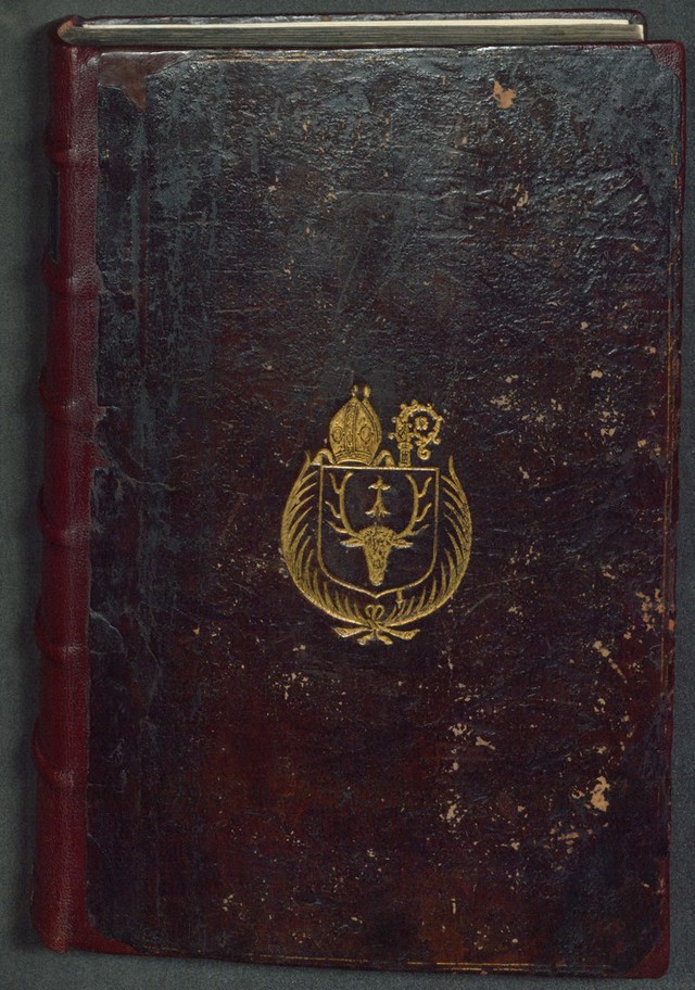 No text description is available for this image