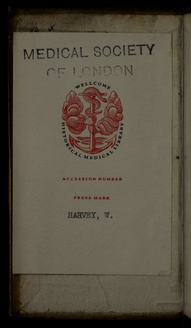 digitised image 2